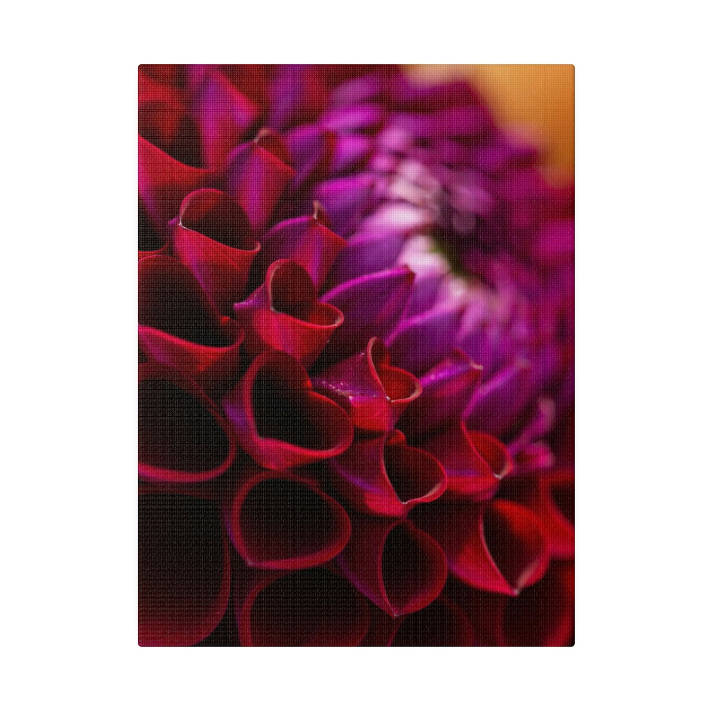Matte Canvas, Stretched, 0.75"