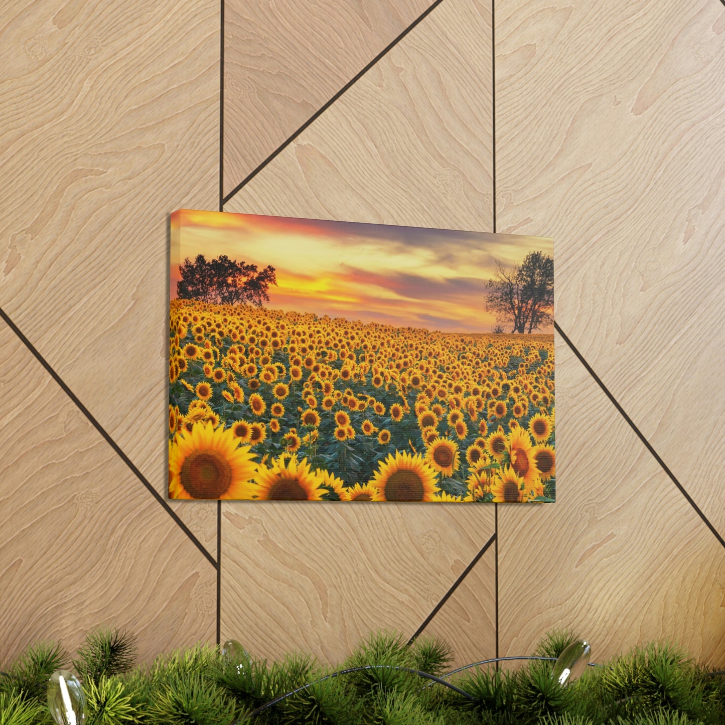 Sunflower Sunset