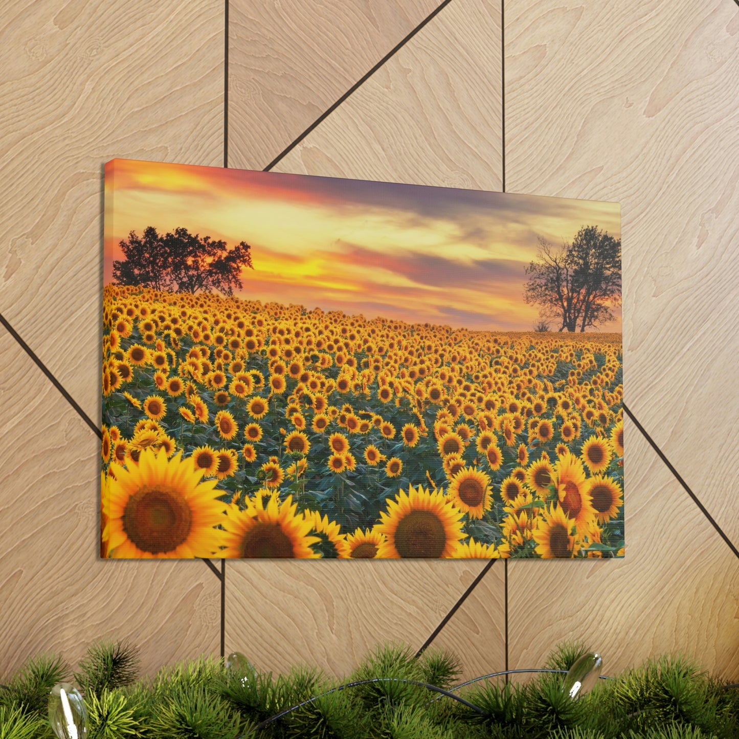 Sunflower Sunset