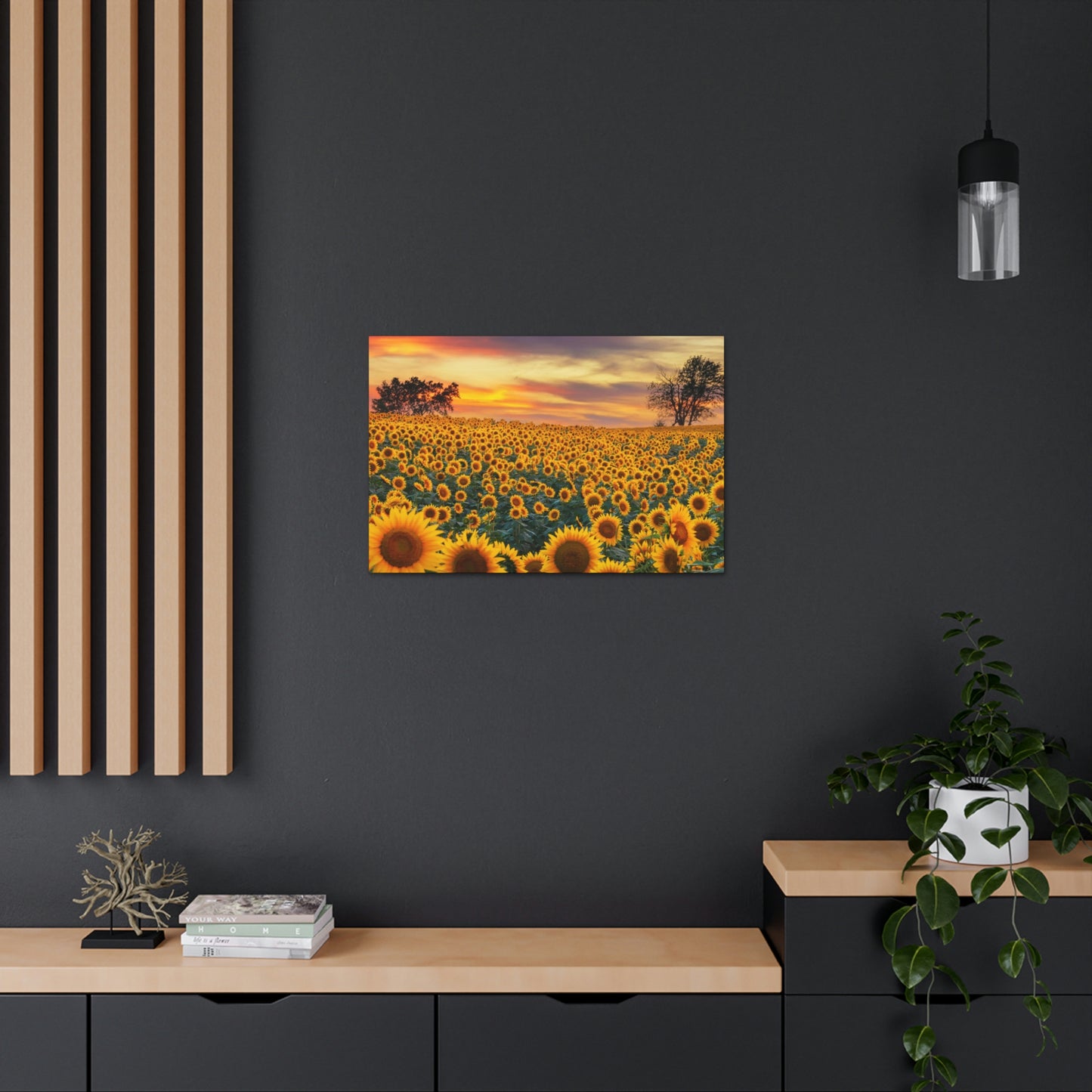 Sunflower Sunset