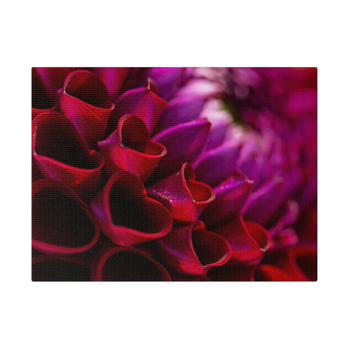 Matte Canvas, Stretched, 0.75"