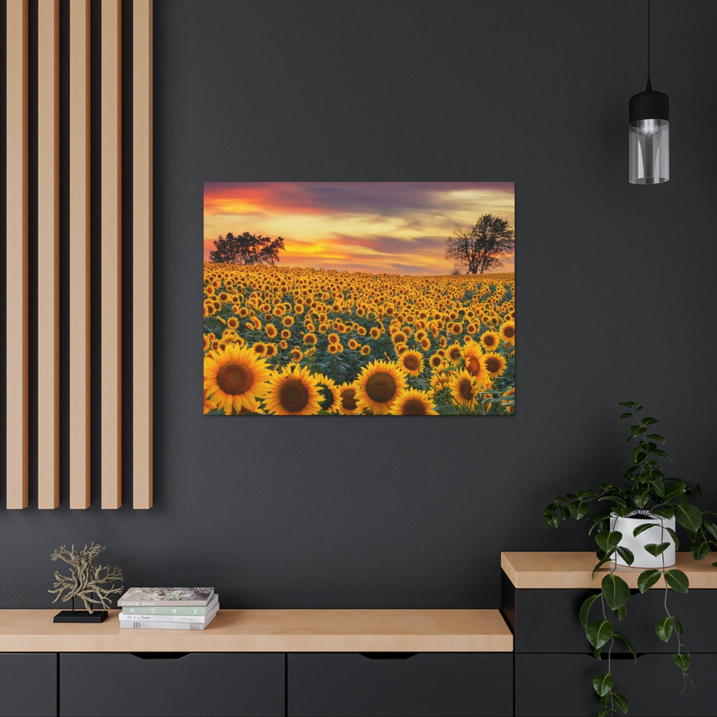 Sunflower Sunset