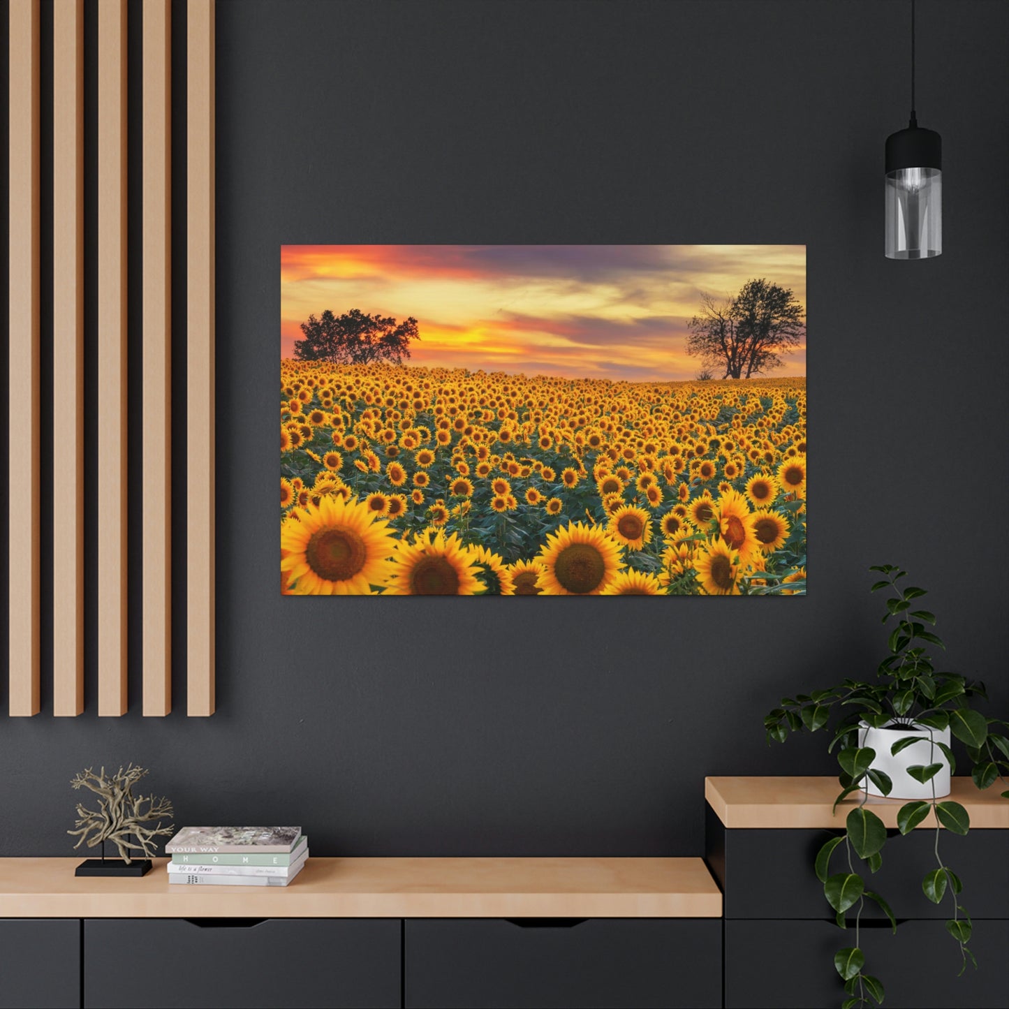 Sunflower Sunset