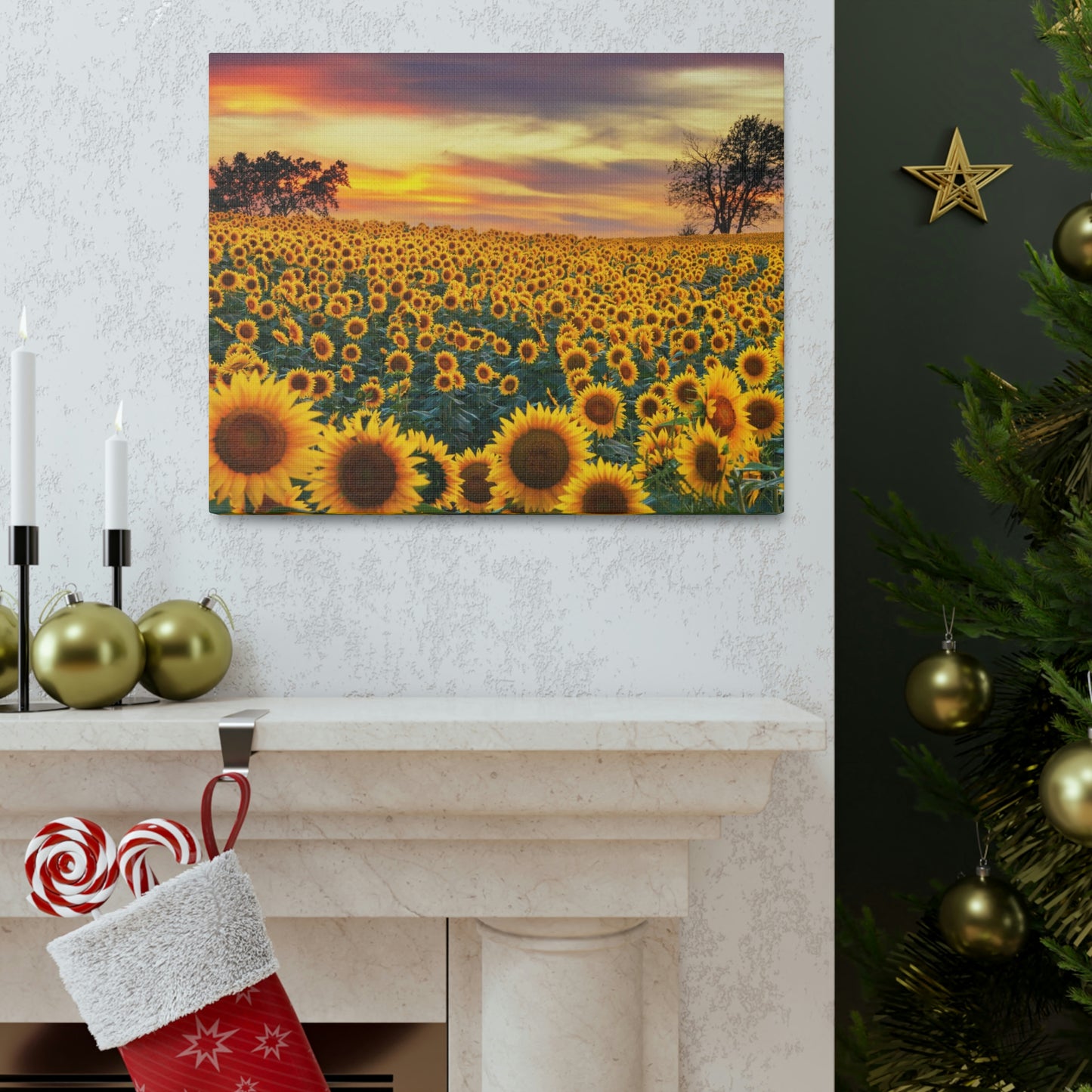 Sunflower Sunset
