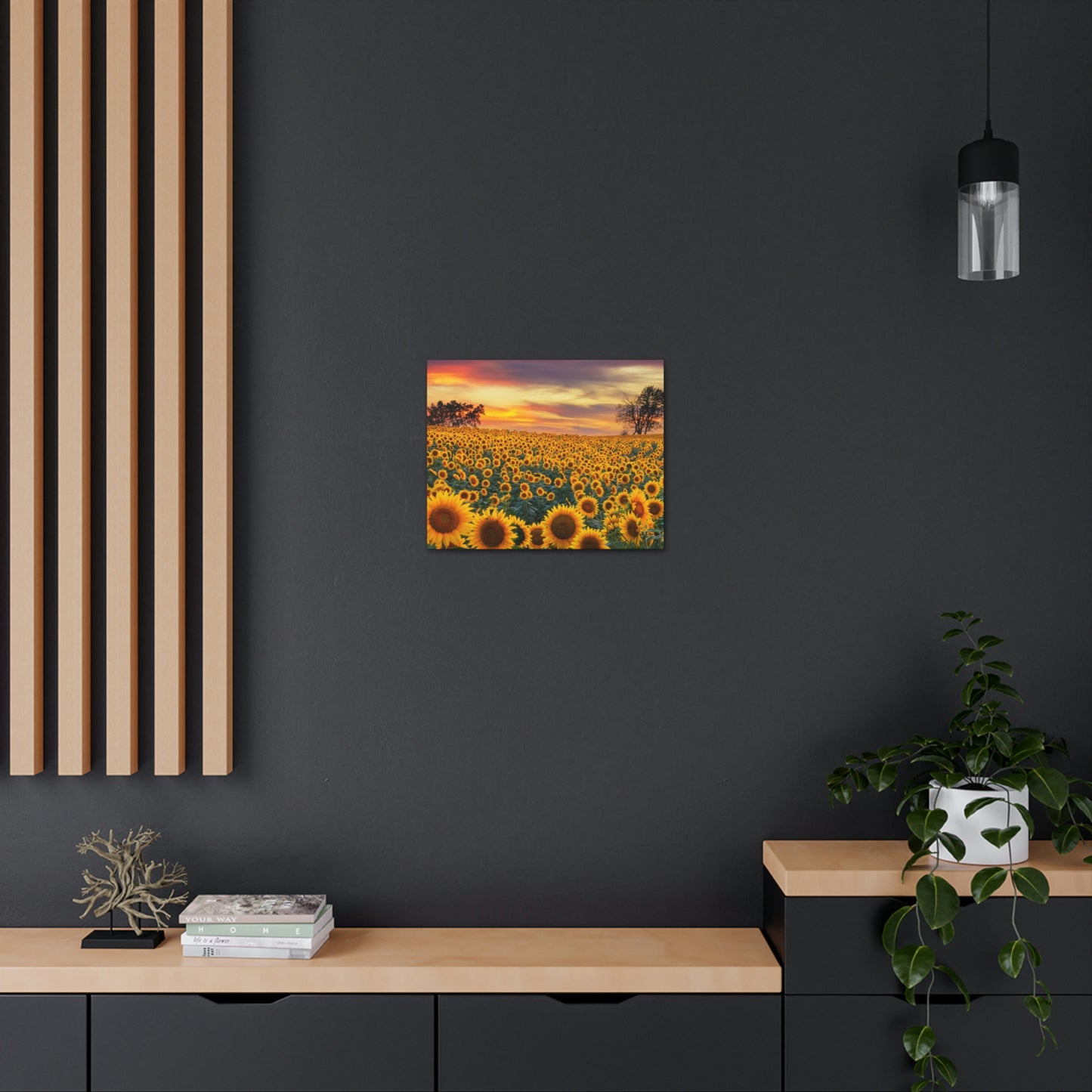 Sunflower Sunset