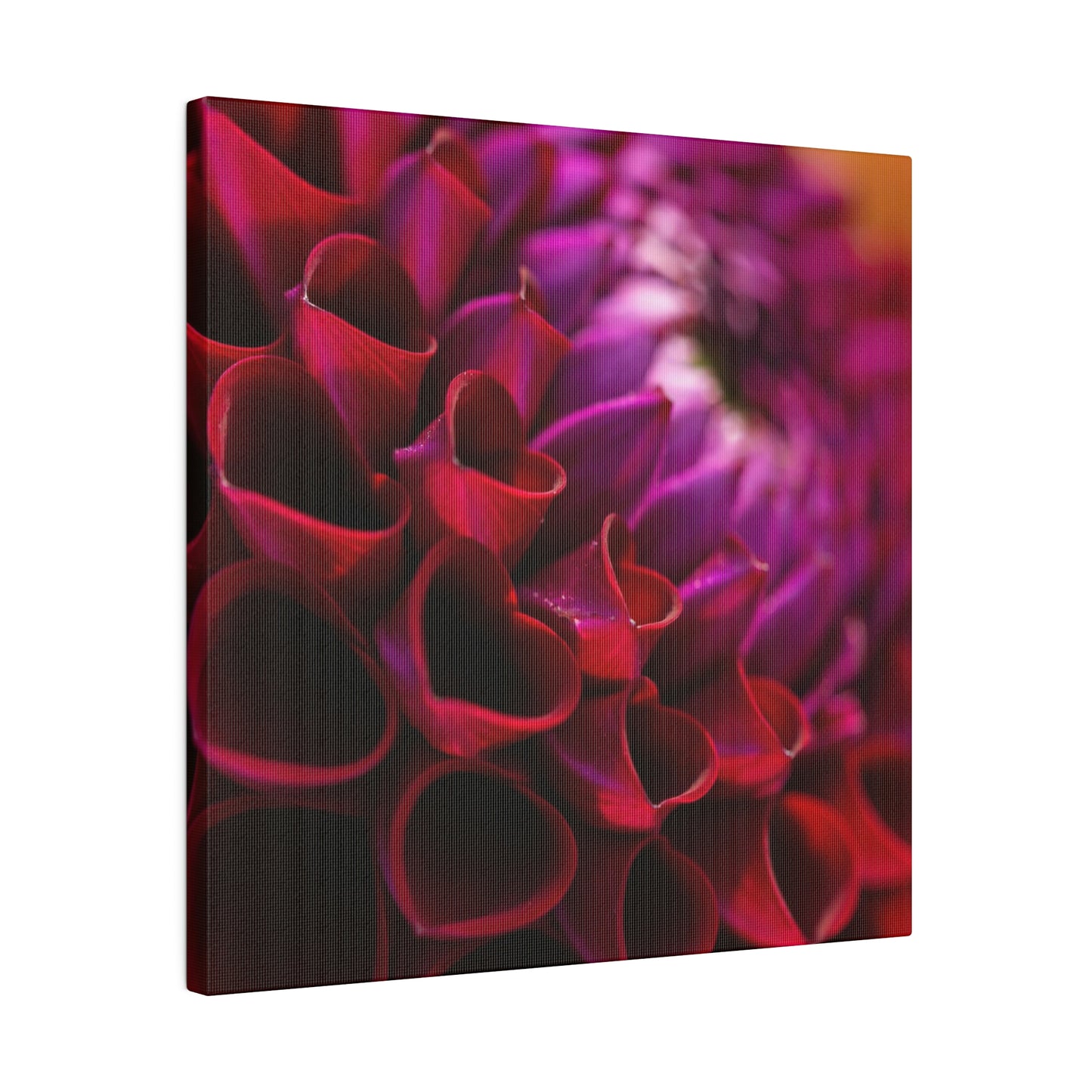 Matte Canvas, Stretched, 0.75"