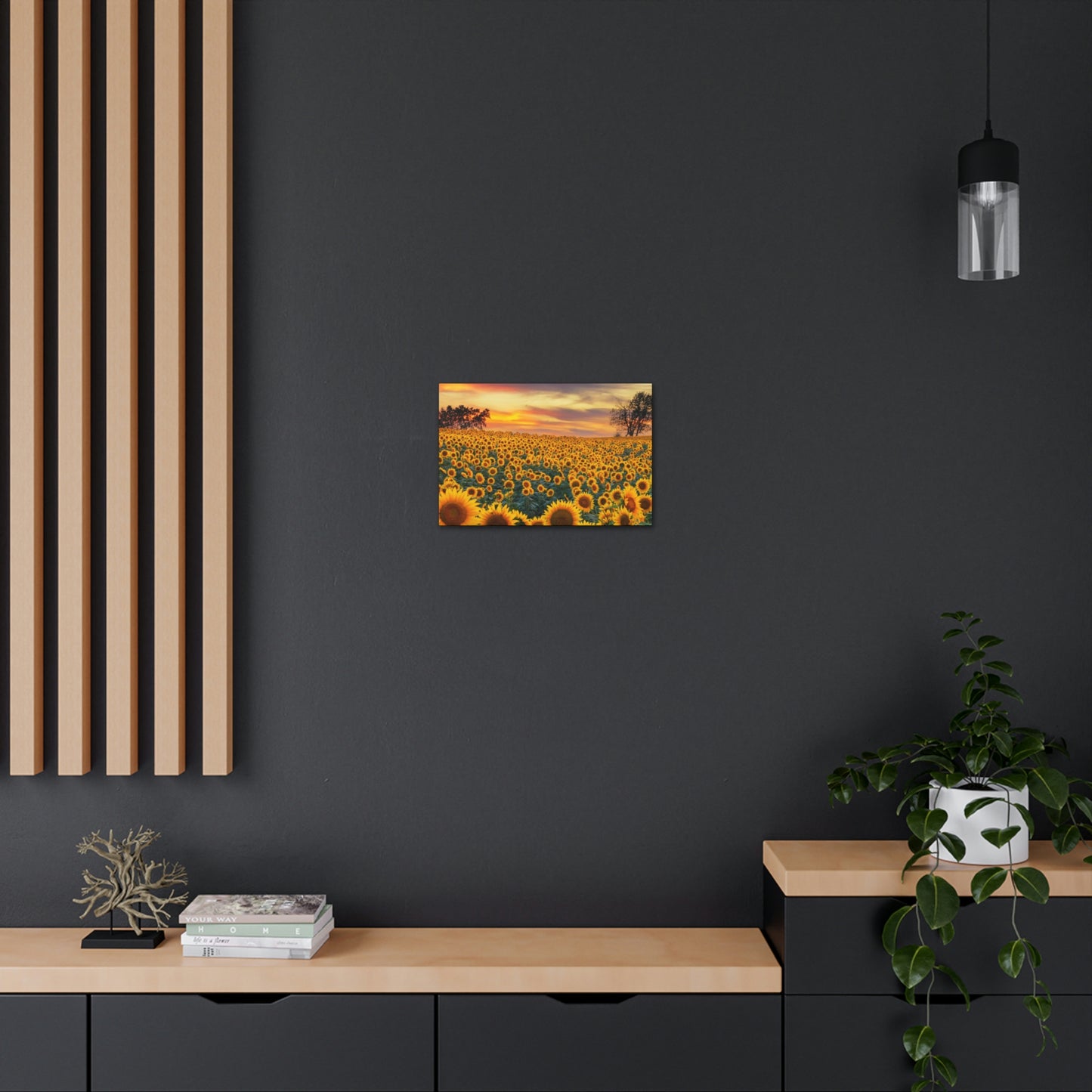 Sunflower Sunset