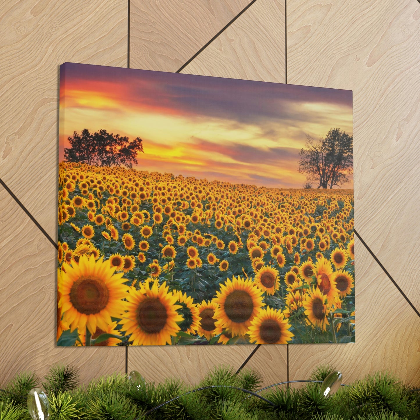 Sunflower Sunset
