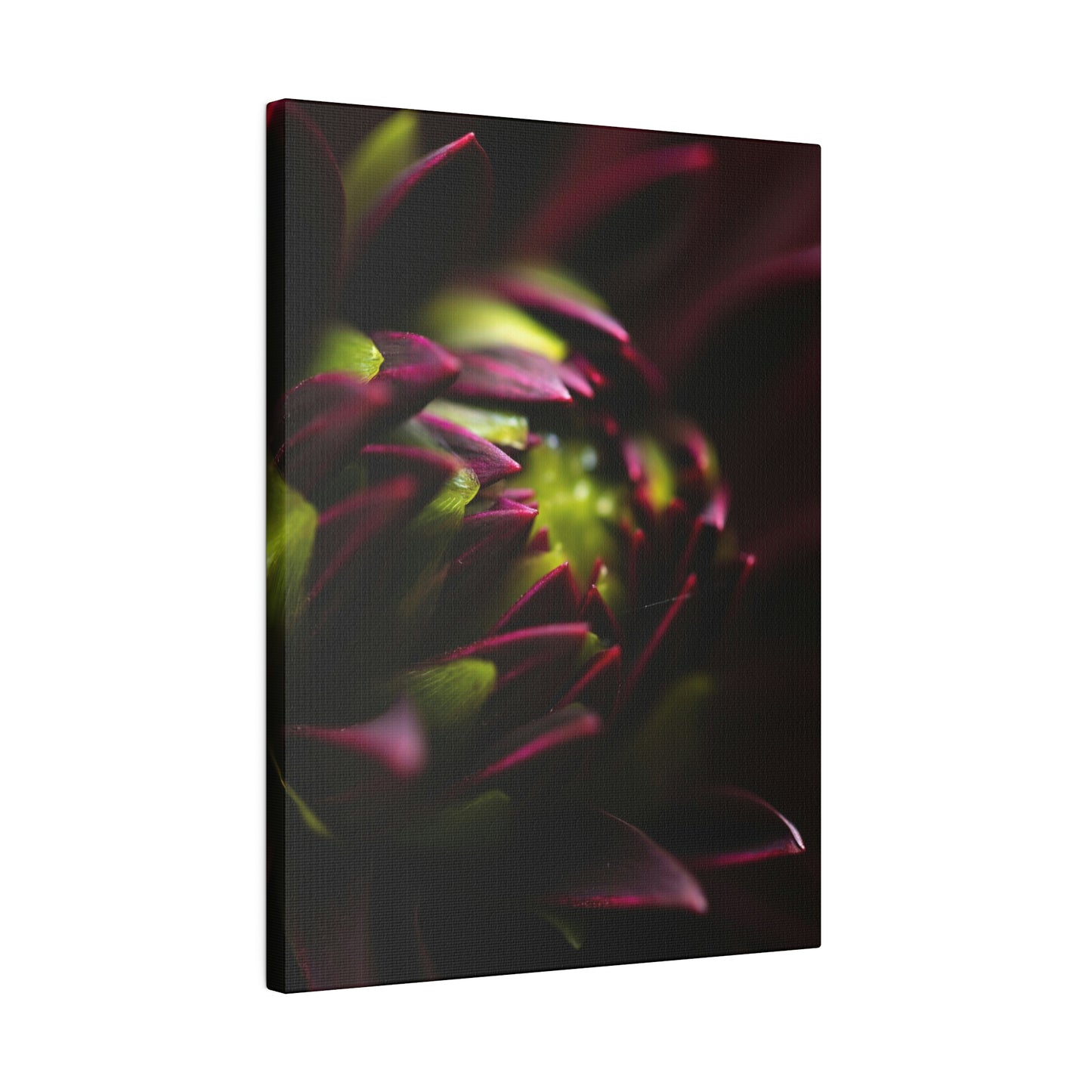 Purple Dahlia on Matte Canvas, Stretched, 0.75"