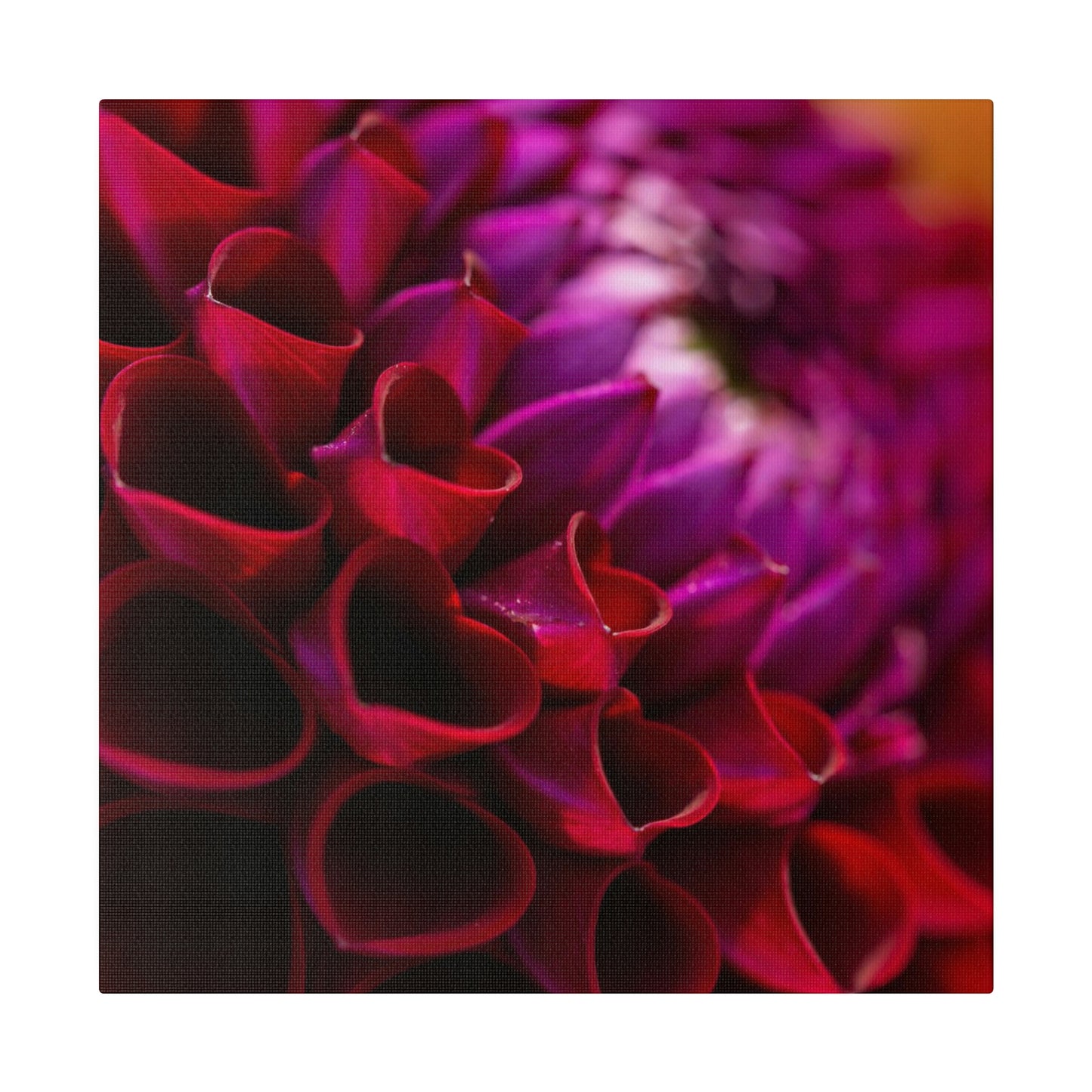 Matte Canvas, Stretched, 0.75"
