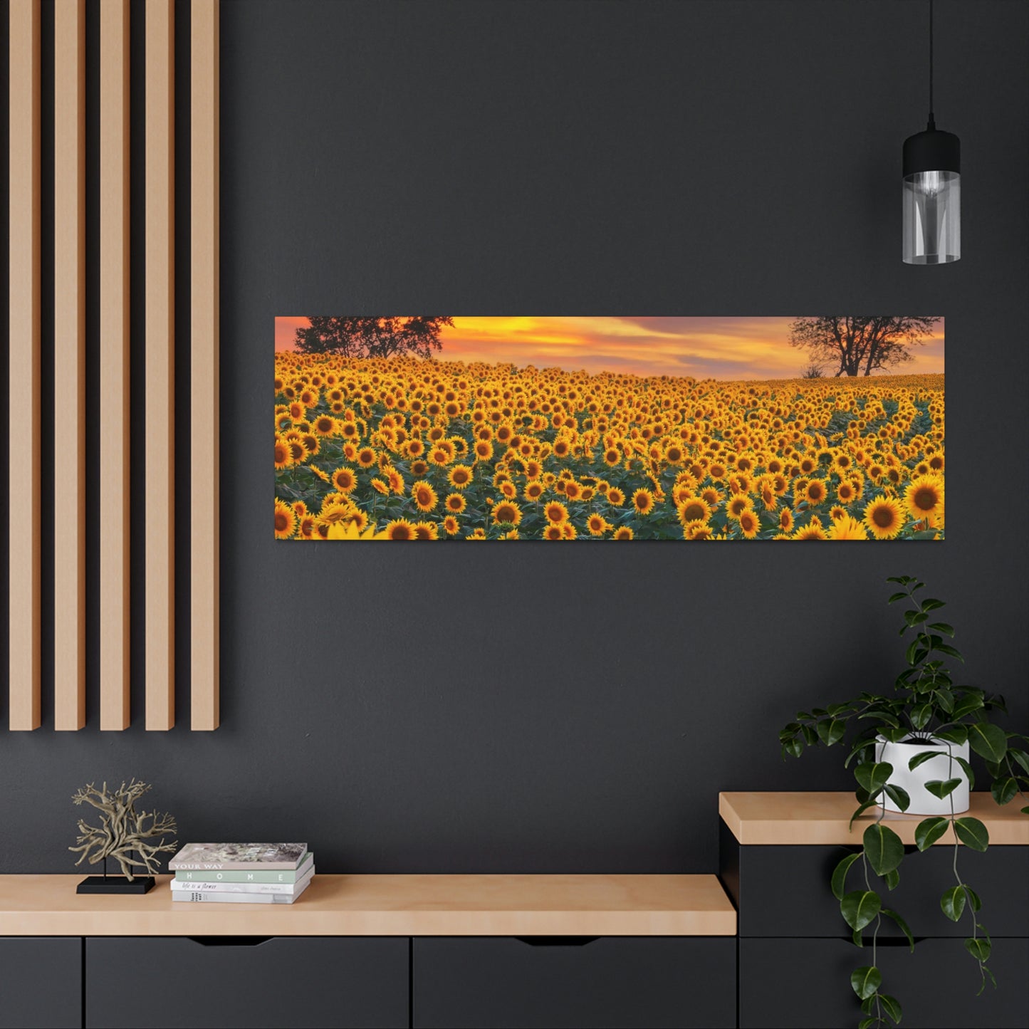 Sunflower Sunset