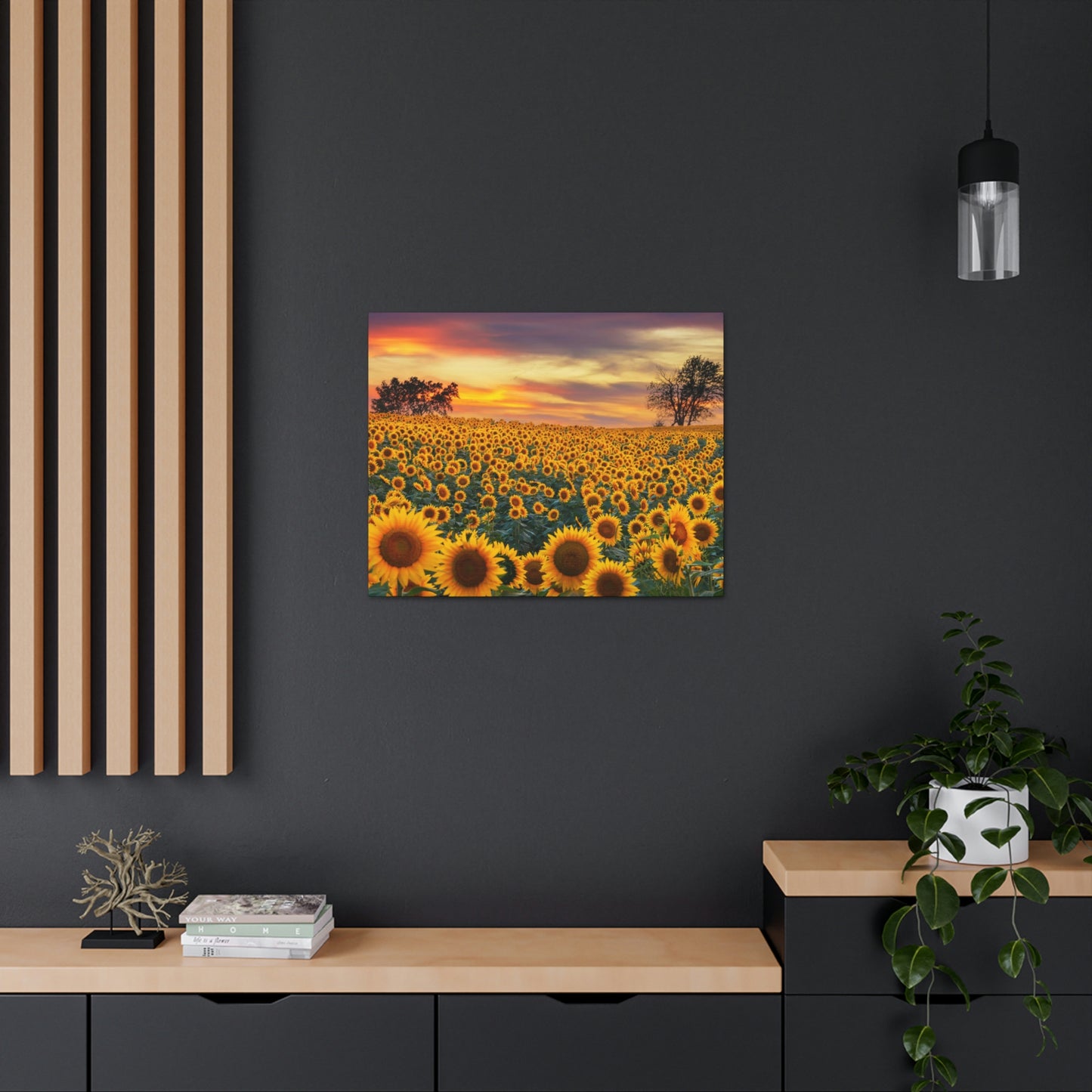 Sunflower Sunset