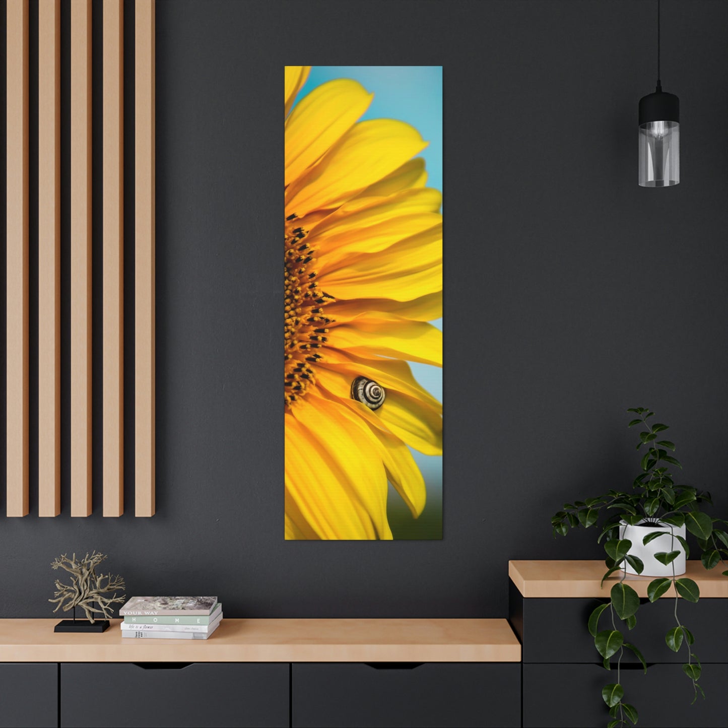 Sunflower Snails