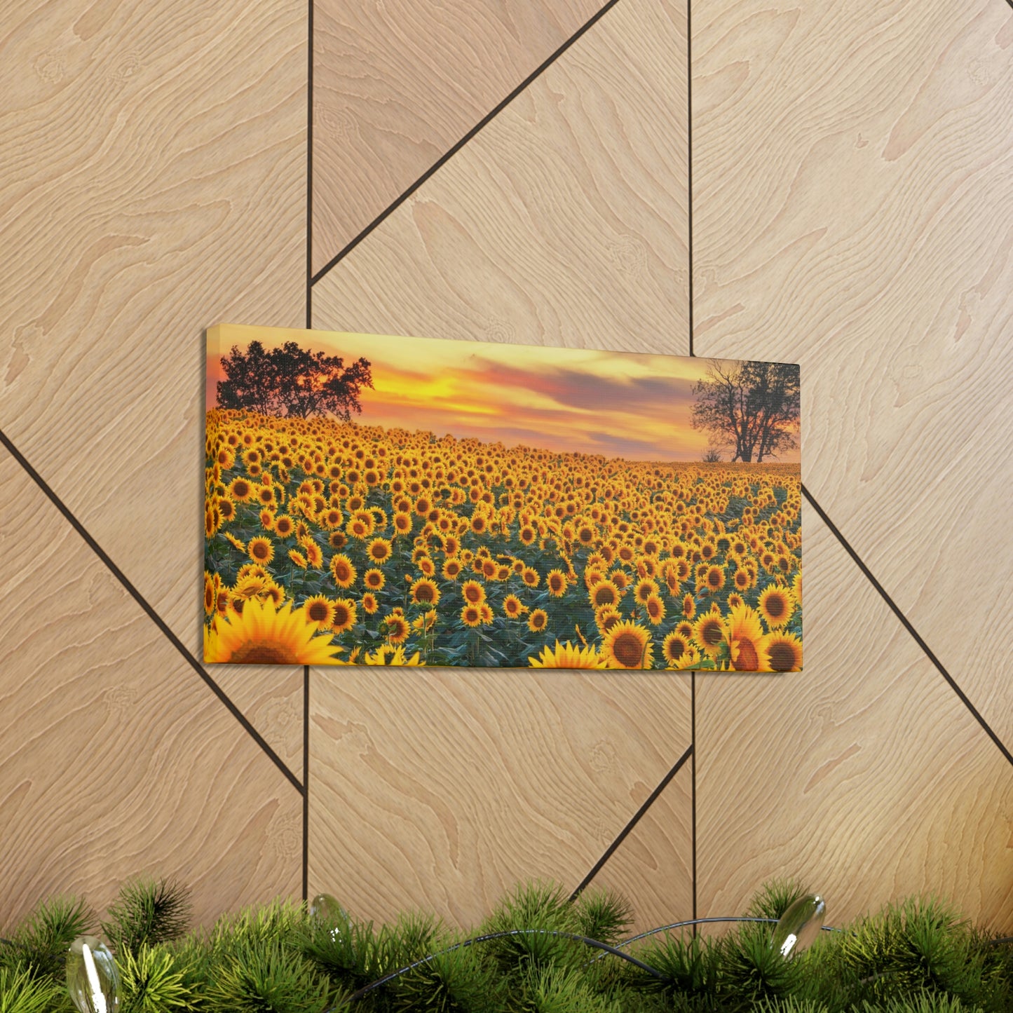 Sunflower Sunset