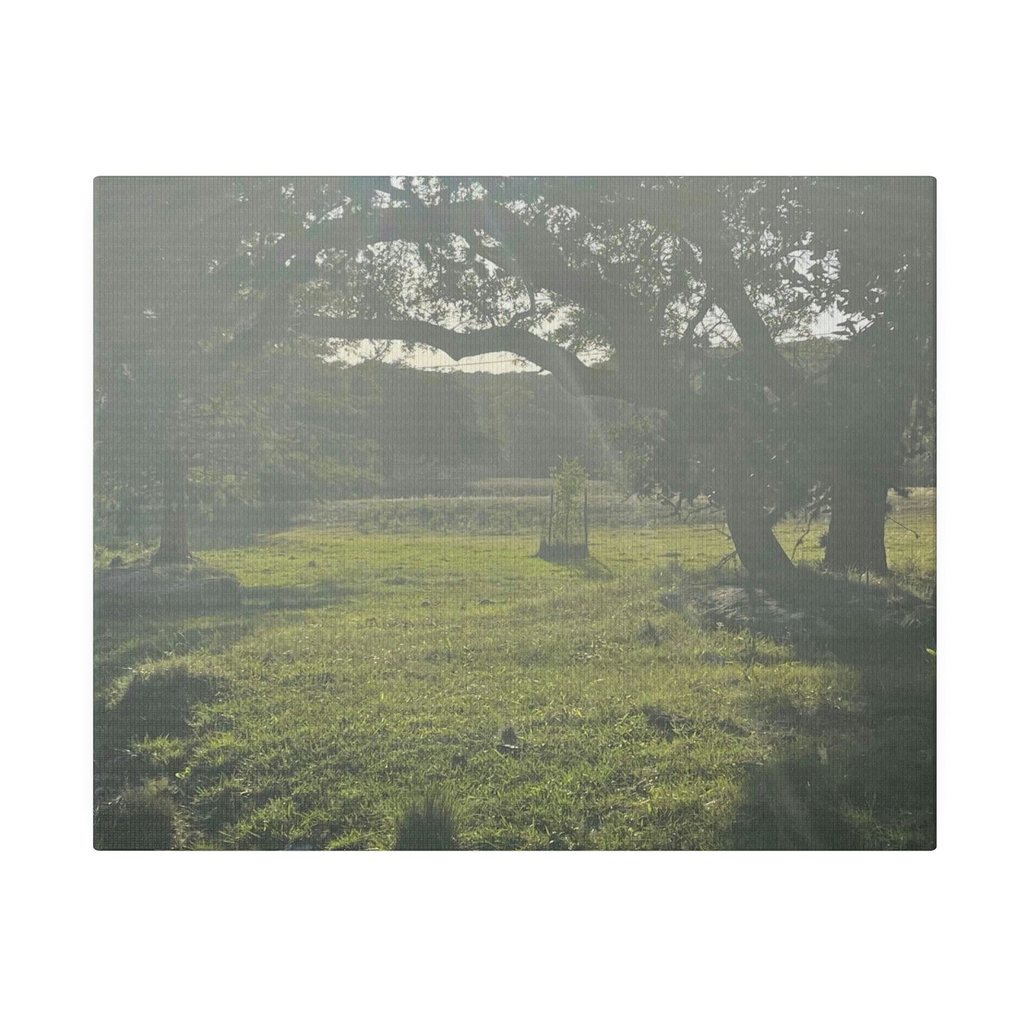 Hill Country Paradise on Matte Canvas, Stretched, 0.75"