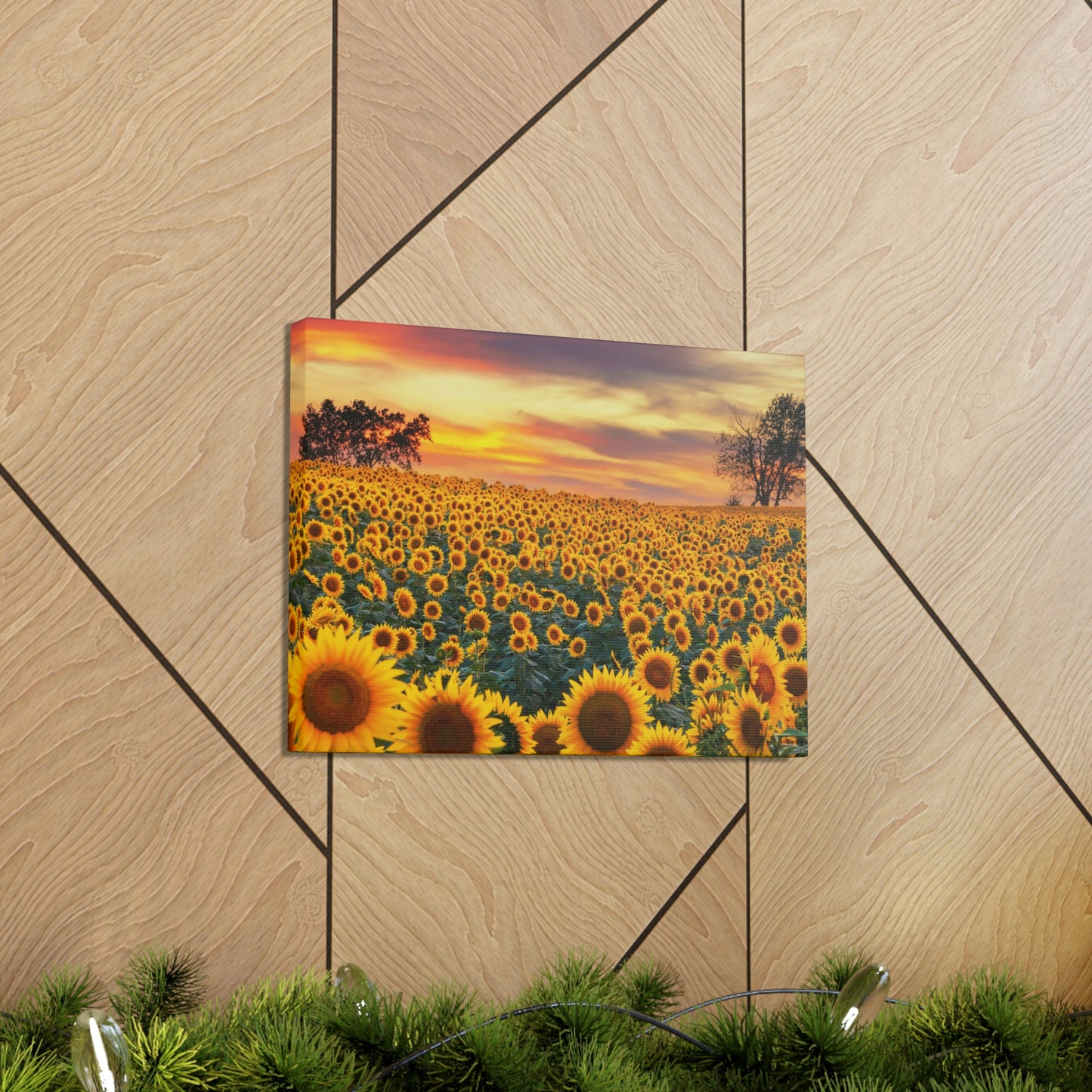 Sunflower Sunset