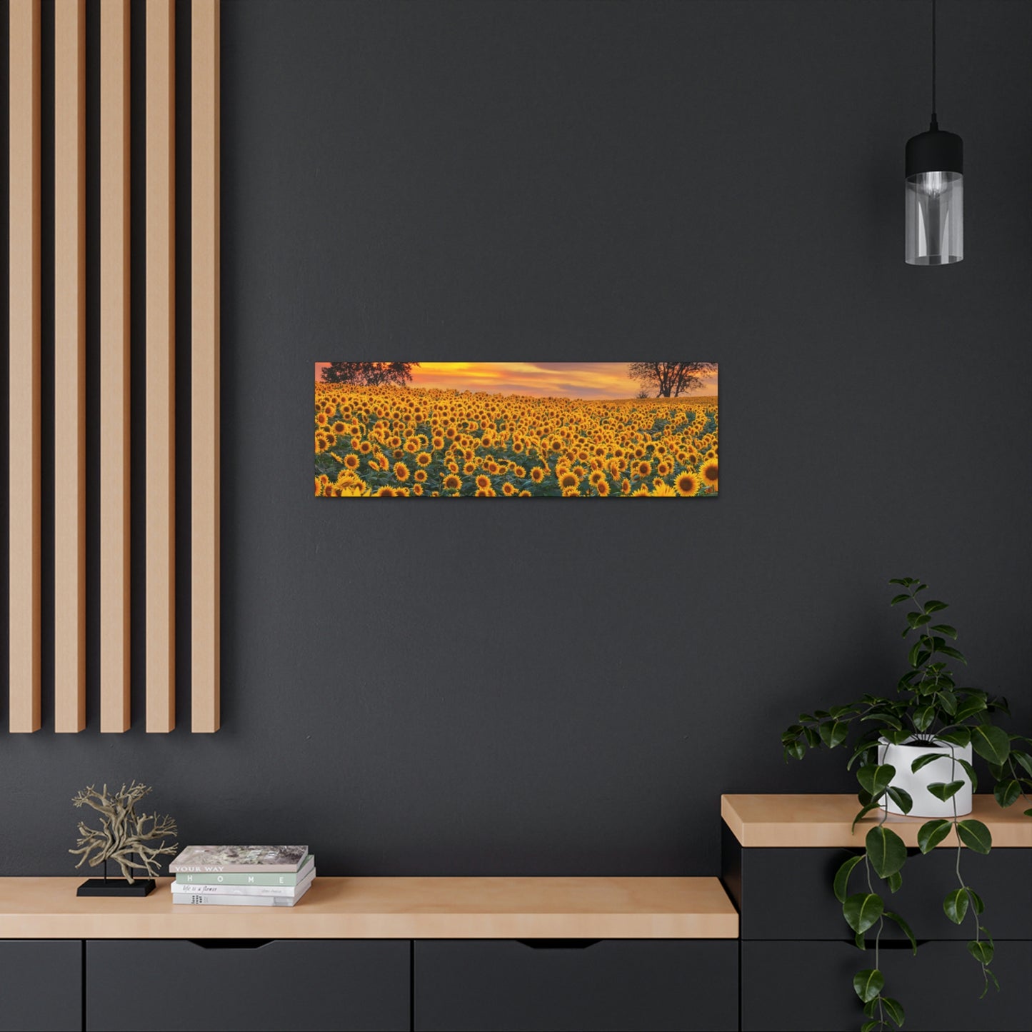 Sunflower Sunset
