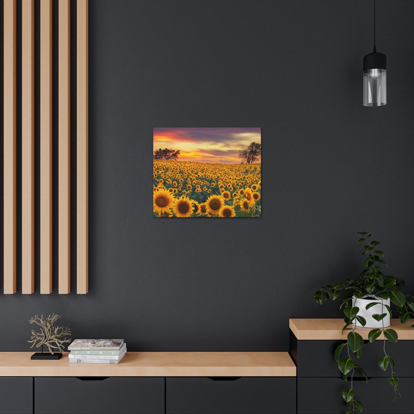 Sunflower Sunset