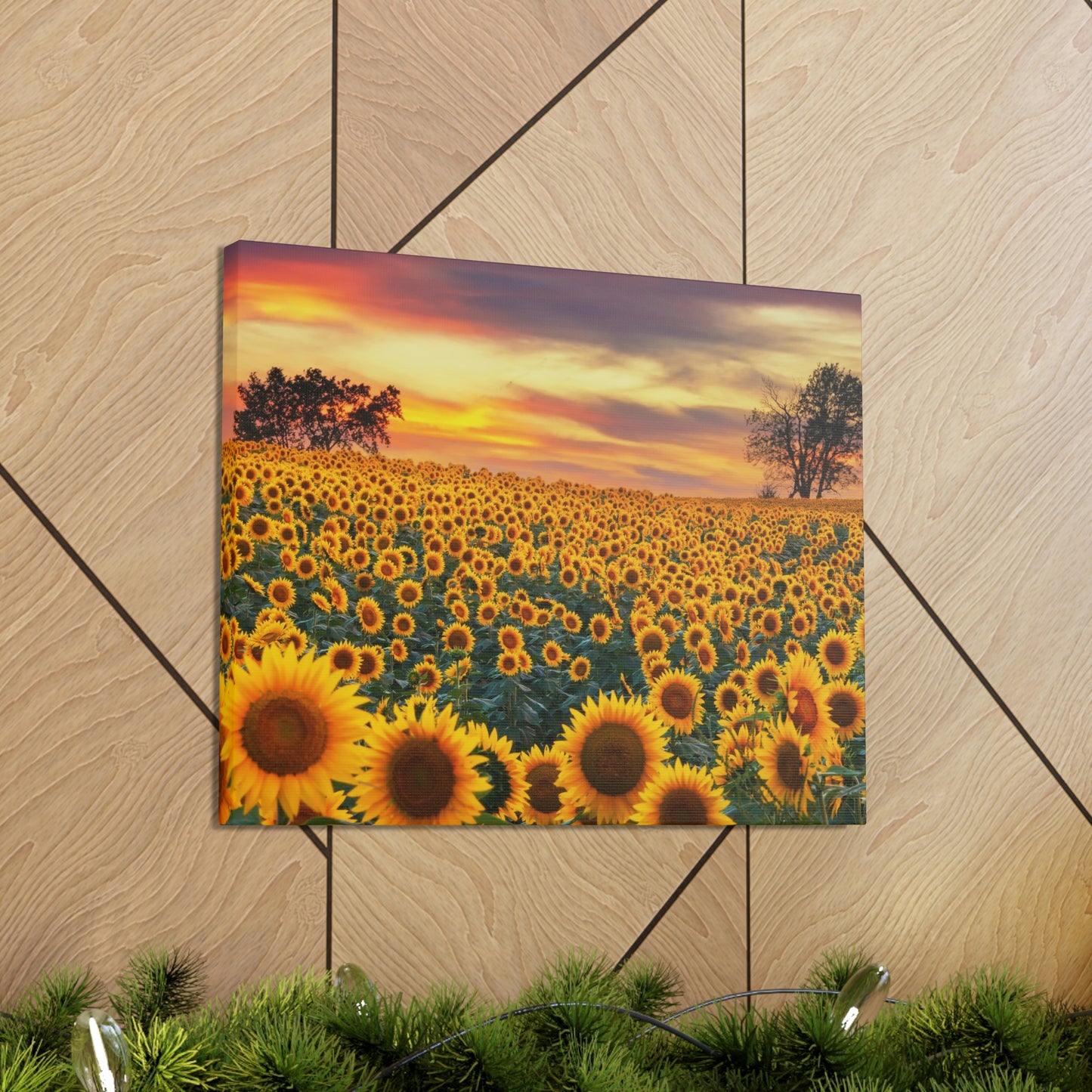 Sunflower Sunset