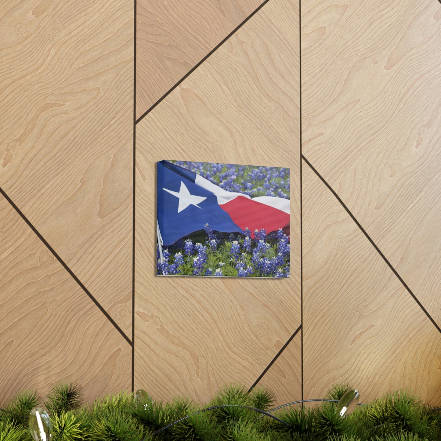 Texas Bluebonnets