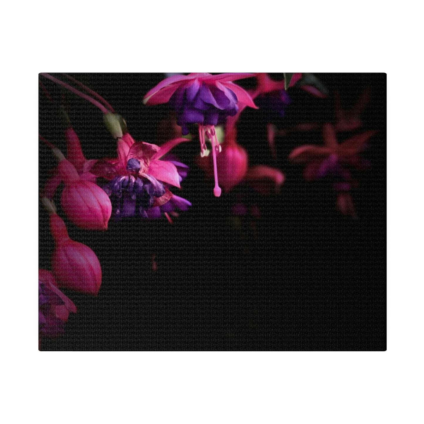 Flowers on Matte Canvas, Stretched, 0.75"
