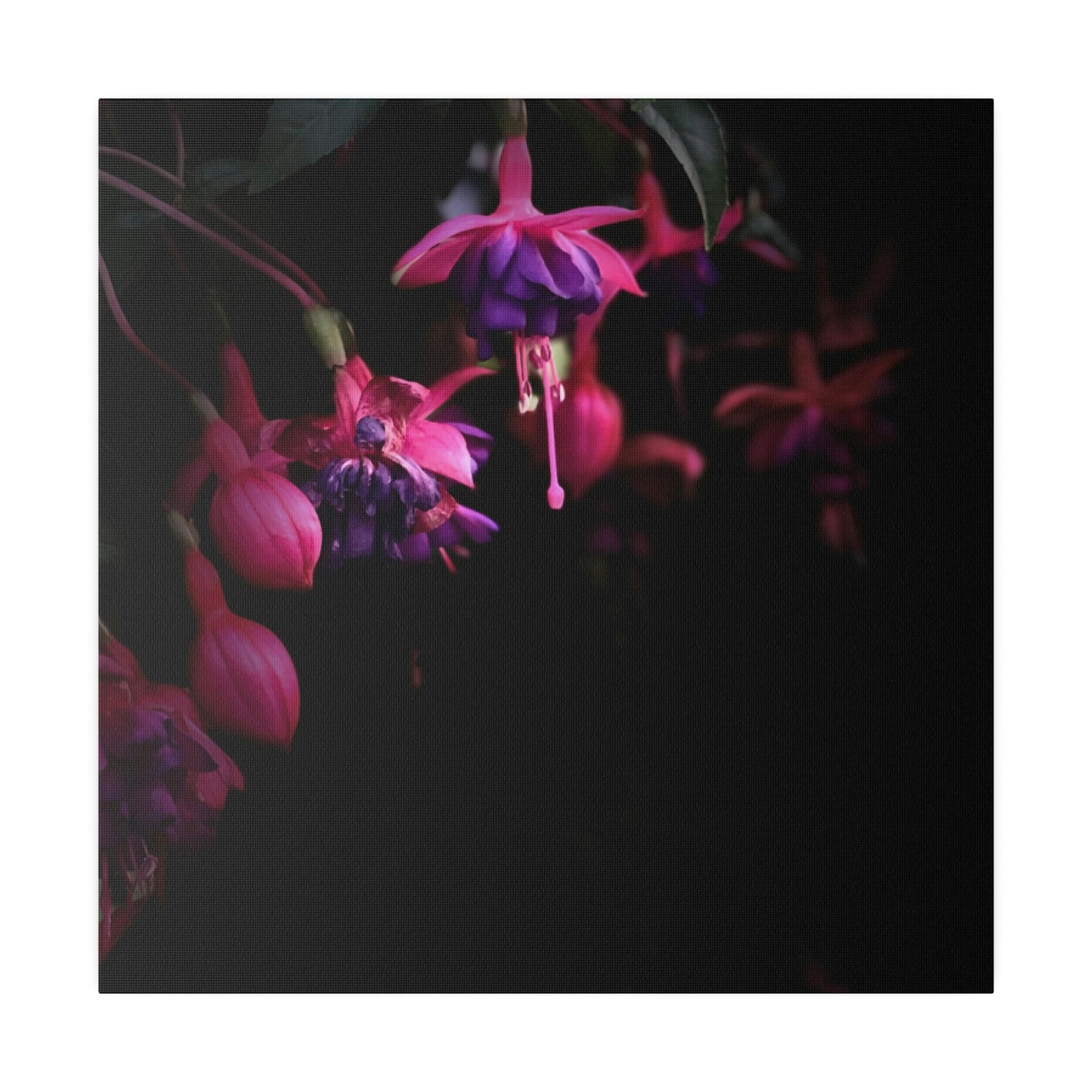 Flowers on Matte Canvas, Stretched, 0.75"