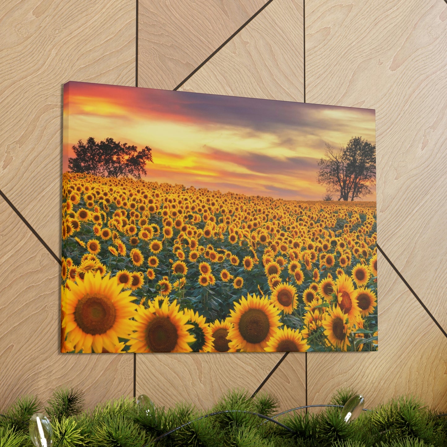 Sunflower Sunset