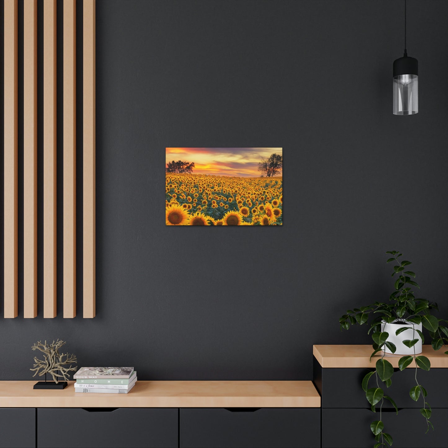 Sunflower Sunset