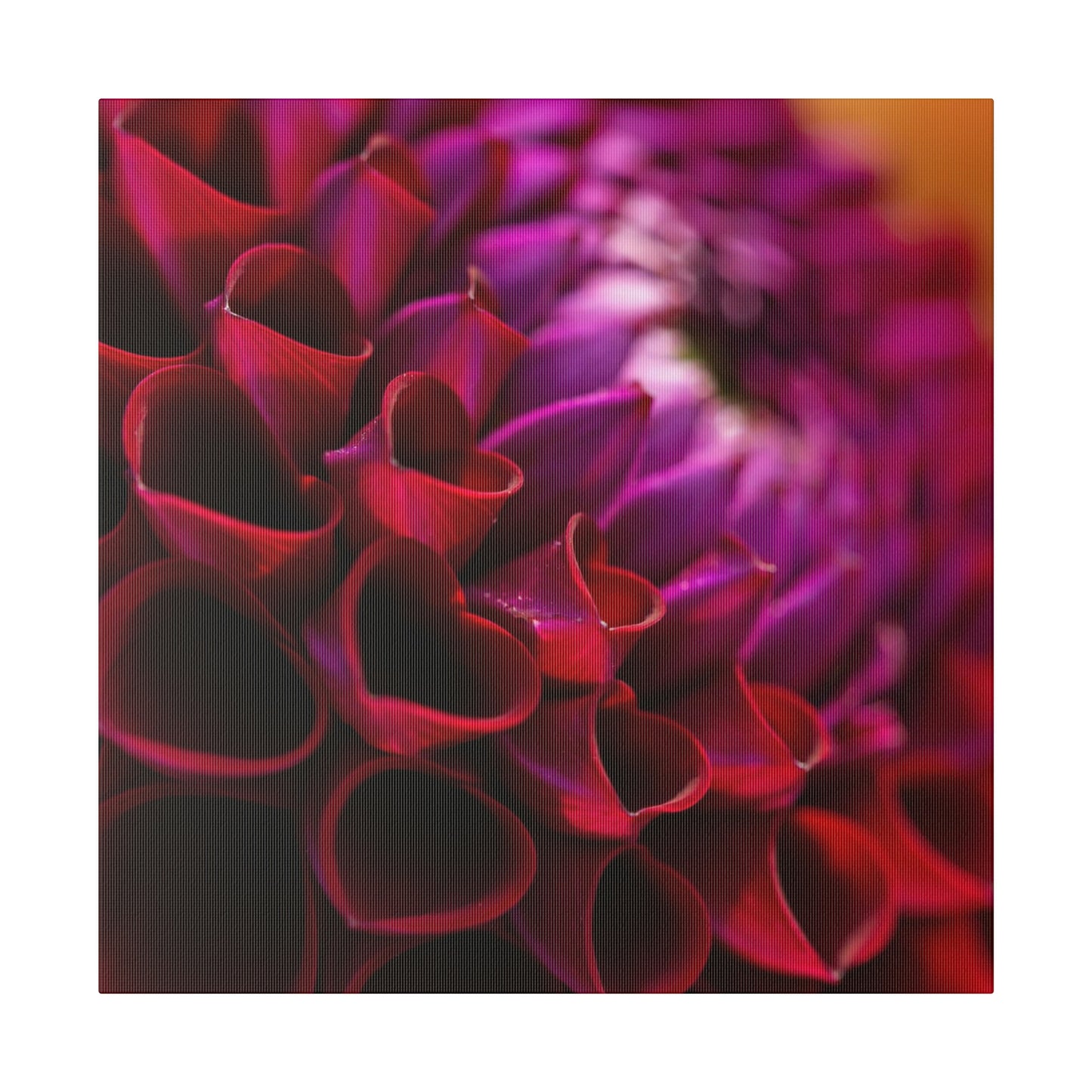 Matte Canvas, Stretched, 0.75"