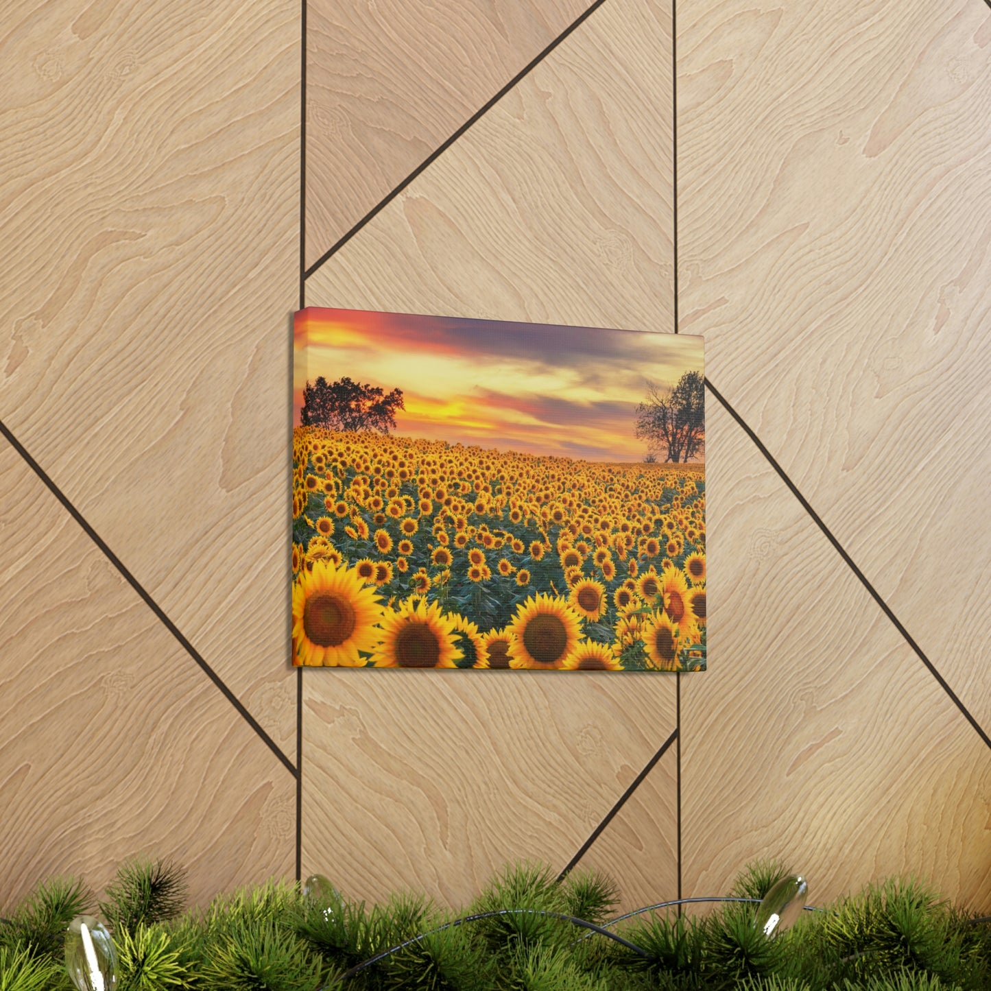 Sunflower Sunset