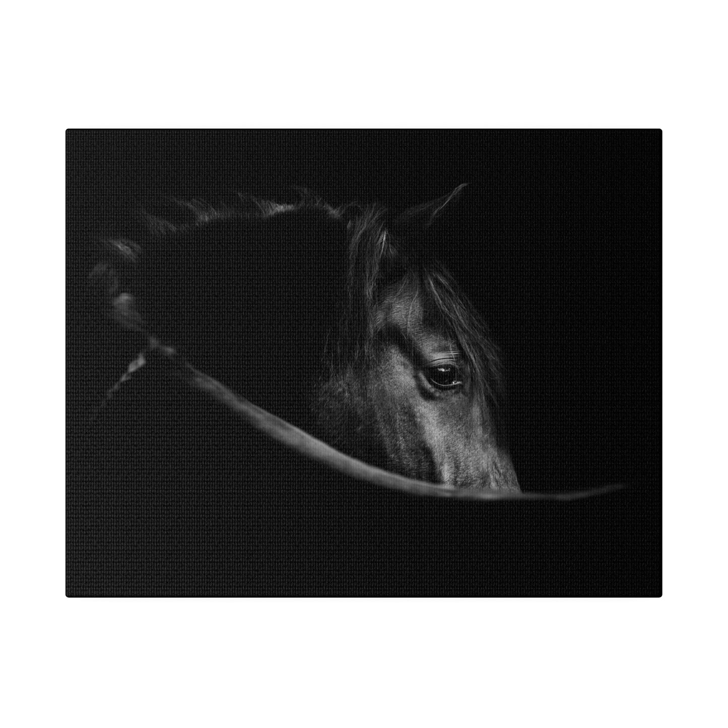 Black Beauty on Matte Canvas, Stretched, 0.75"