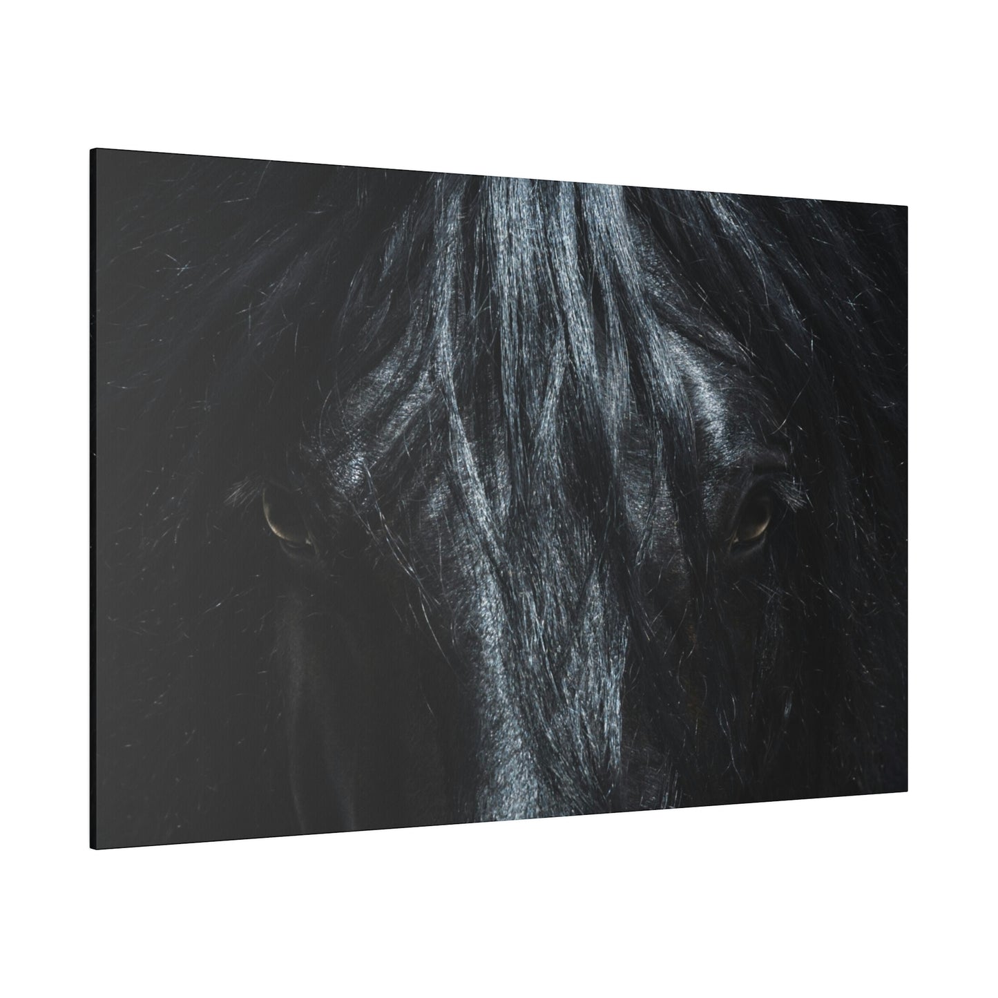 Black horse Face on Matte Canvas, Stretched, 0.75"