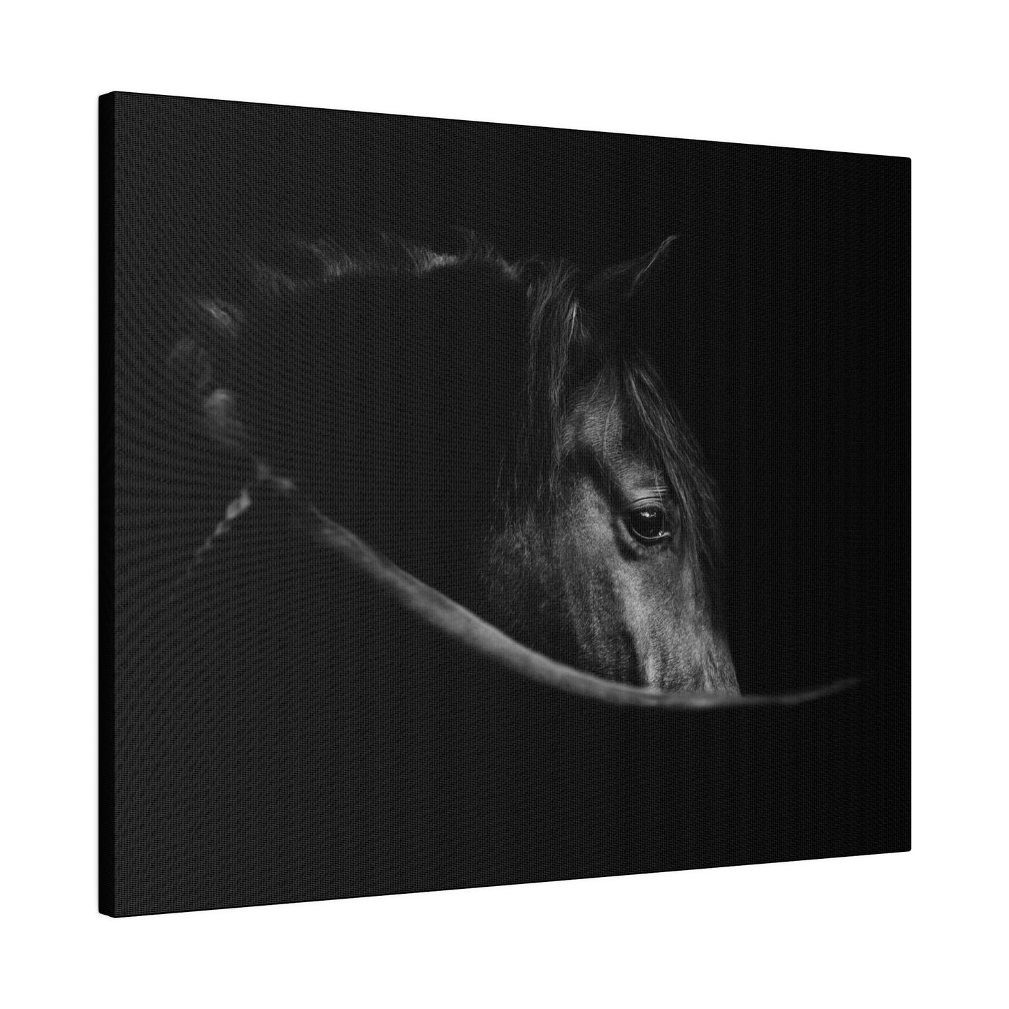 Black Beauty on Matte Canvas, Stretched, 0.75"