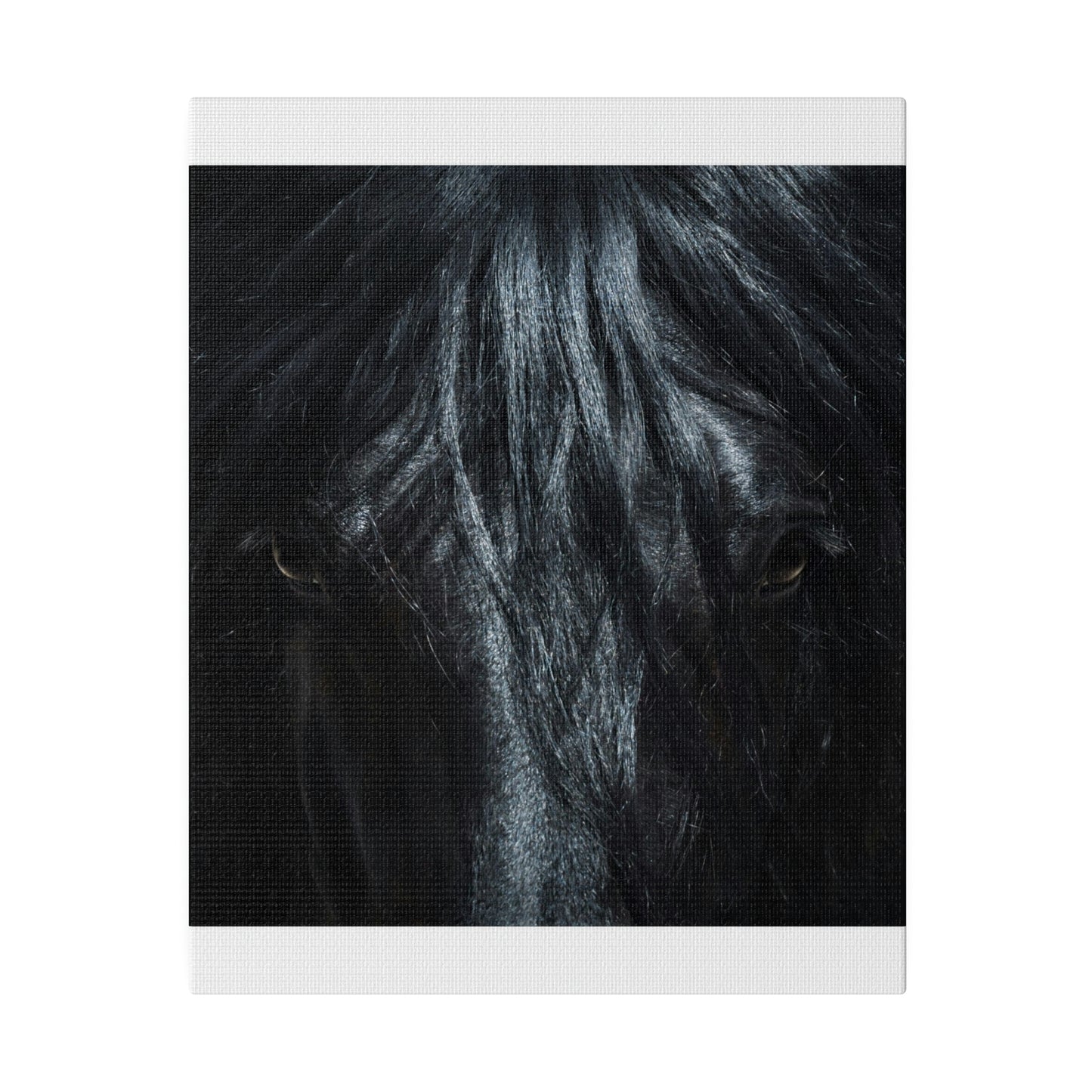 Black horse Face on Matte Canvas, Stretched, 0.75"