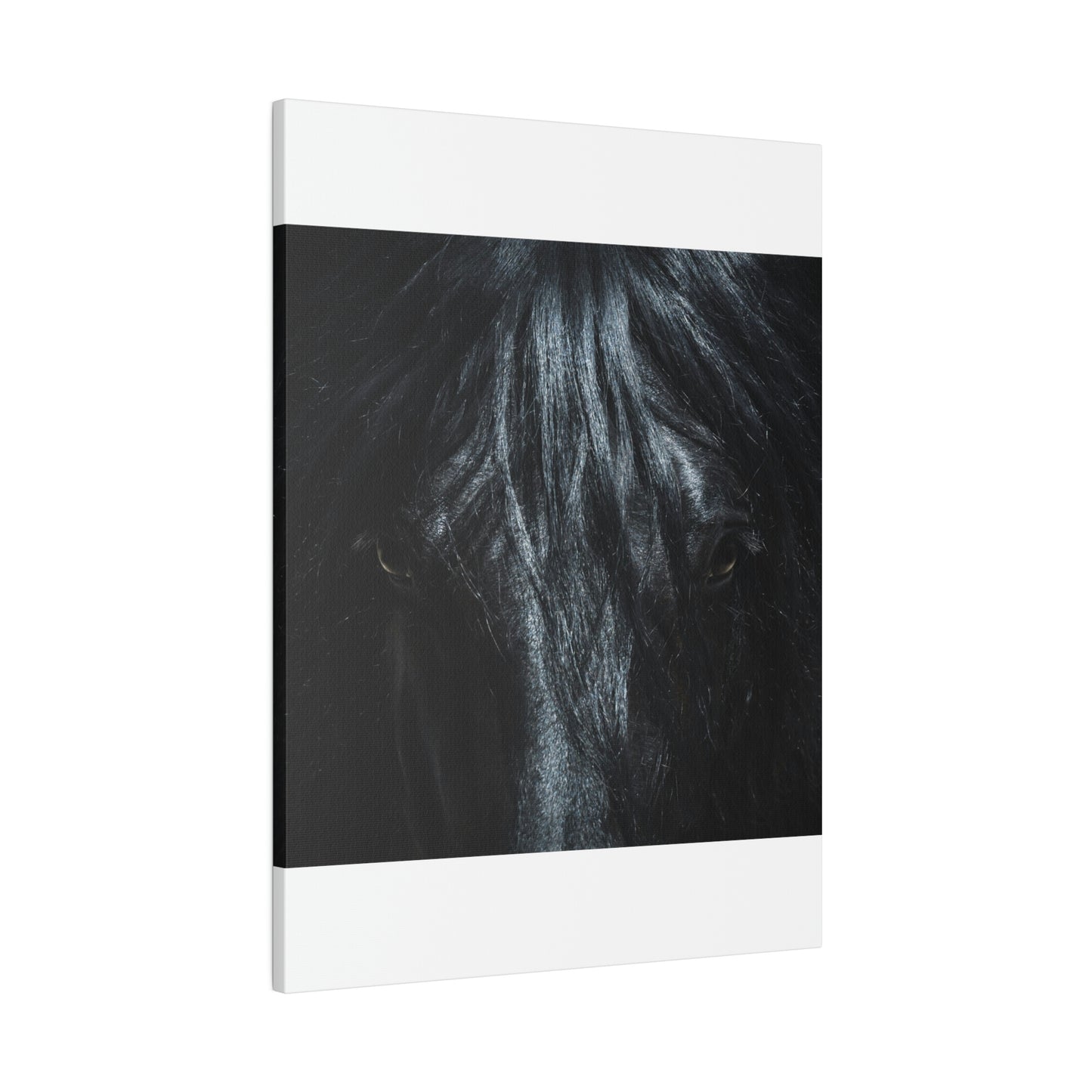 Black horse Face on Matte Canvas, Stretched, 0.75"