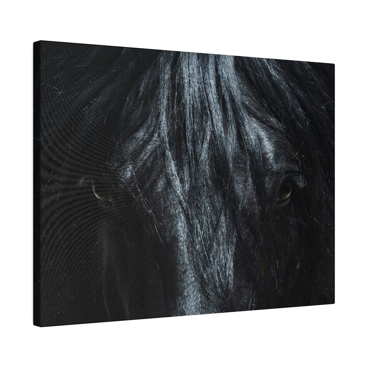 Black horse Face on Matte Canvas, Stretched, 0.75"