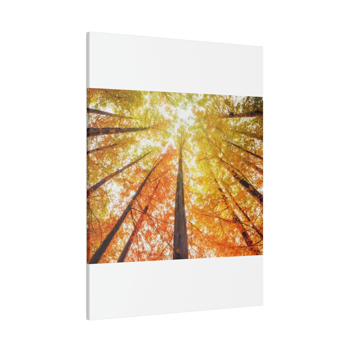 A fall Dream on Matte Canvas, Stretched, 0.75"