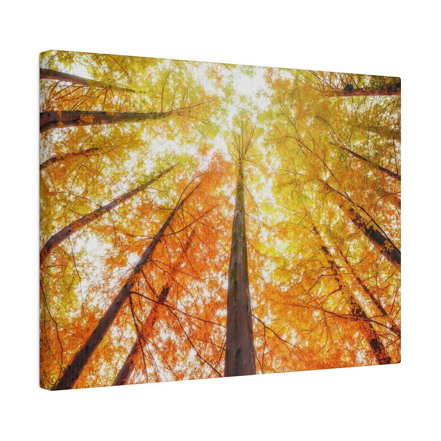 A fall Dream on Matte Canvas, Stretched, 0.75"