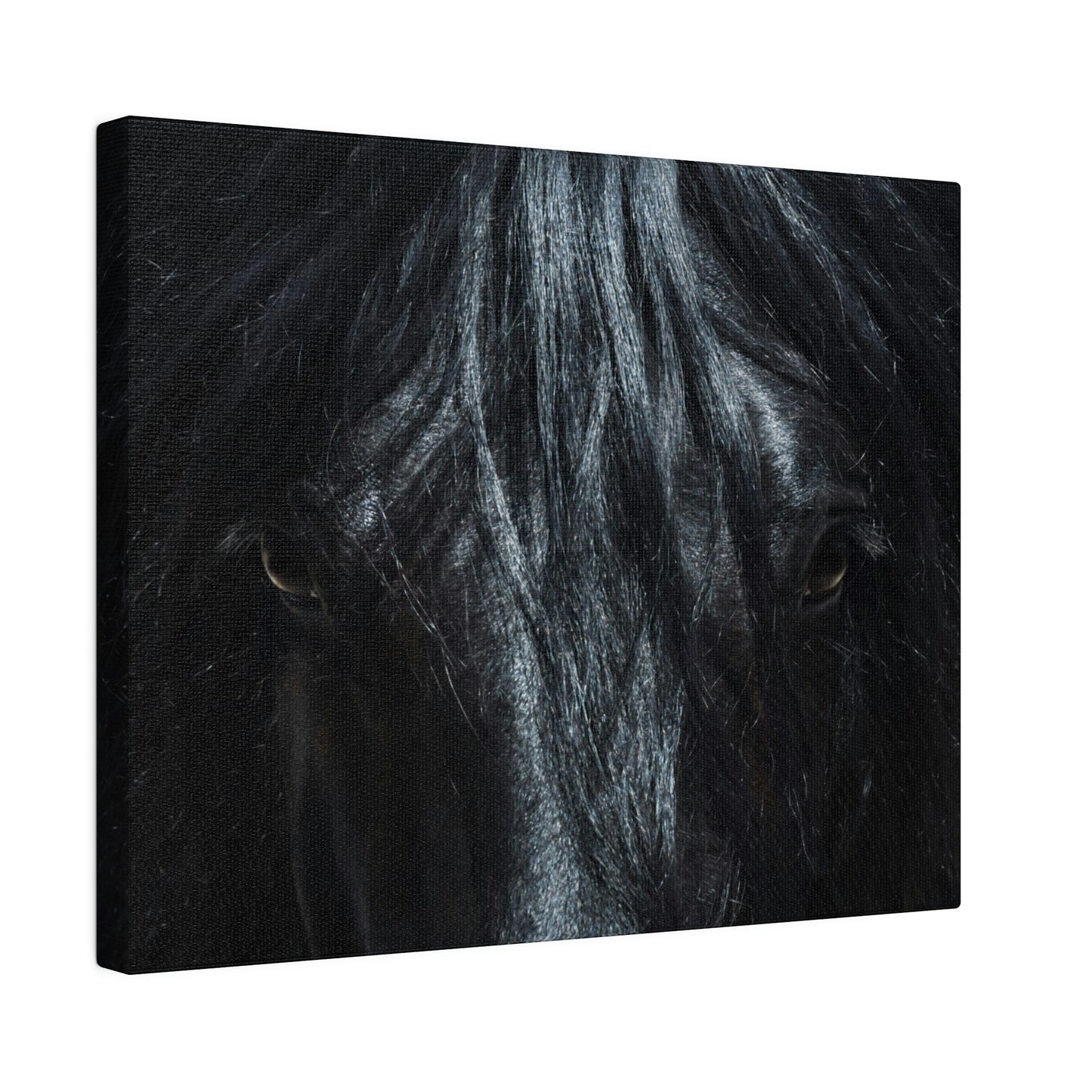 Black horse Face on Matte Canvas, Stretched, 0.75"