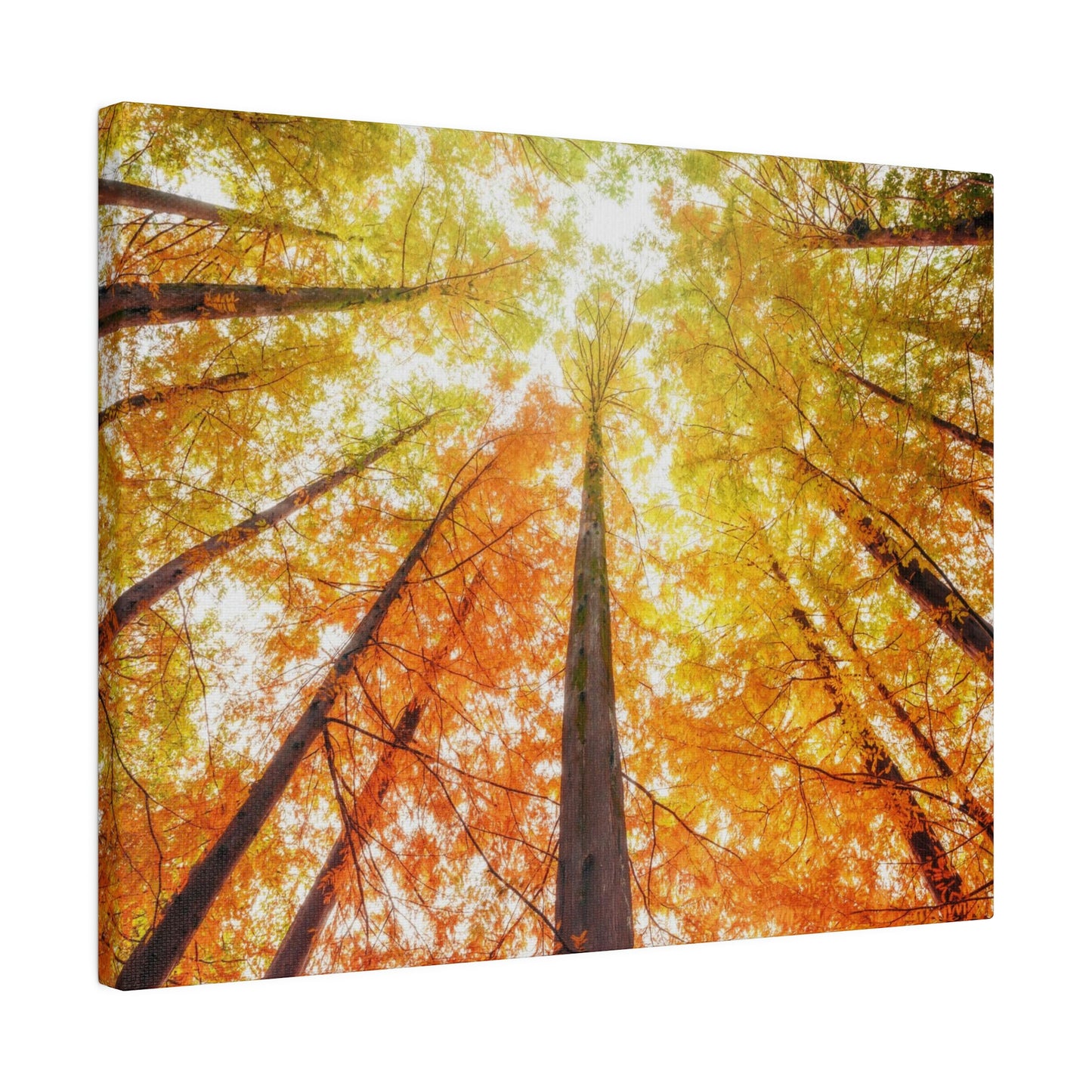 A fall Dream on Matte Canvas, Stretched, 0.75"