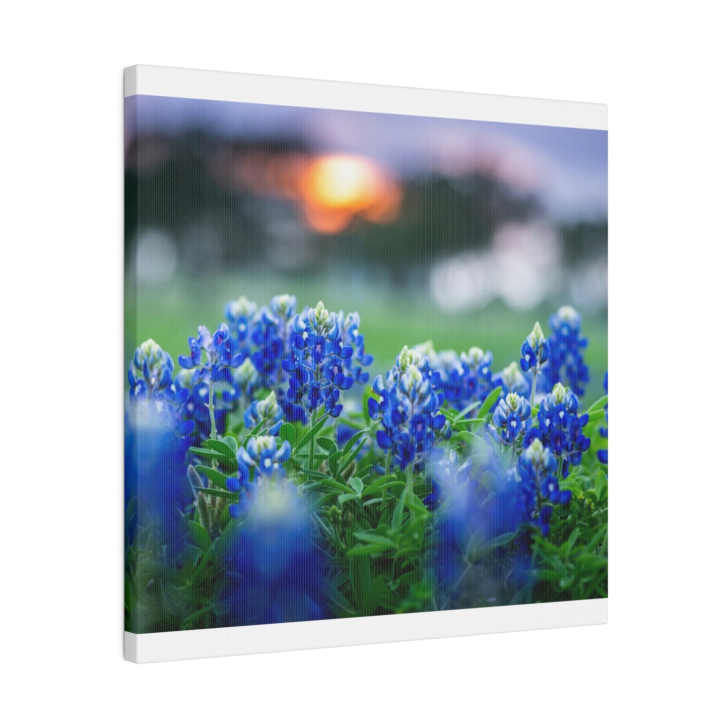 Blue Bonnets on matte Canvas, Stretched, 0.75"