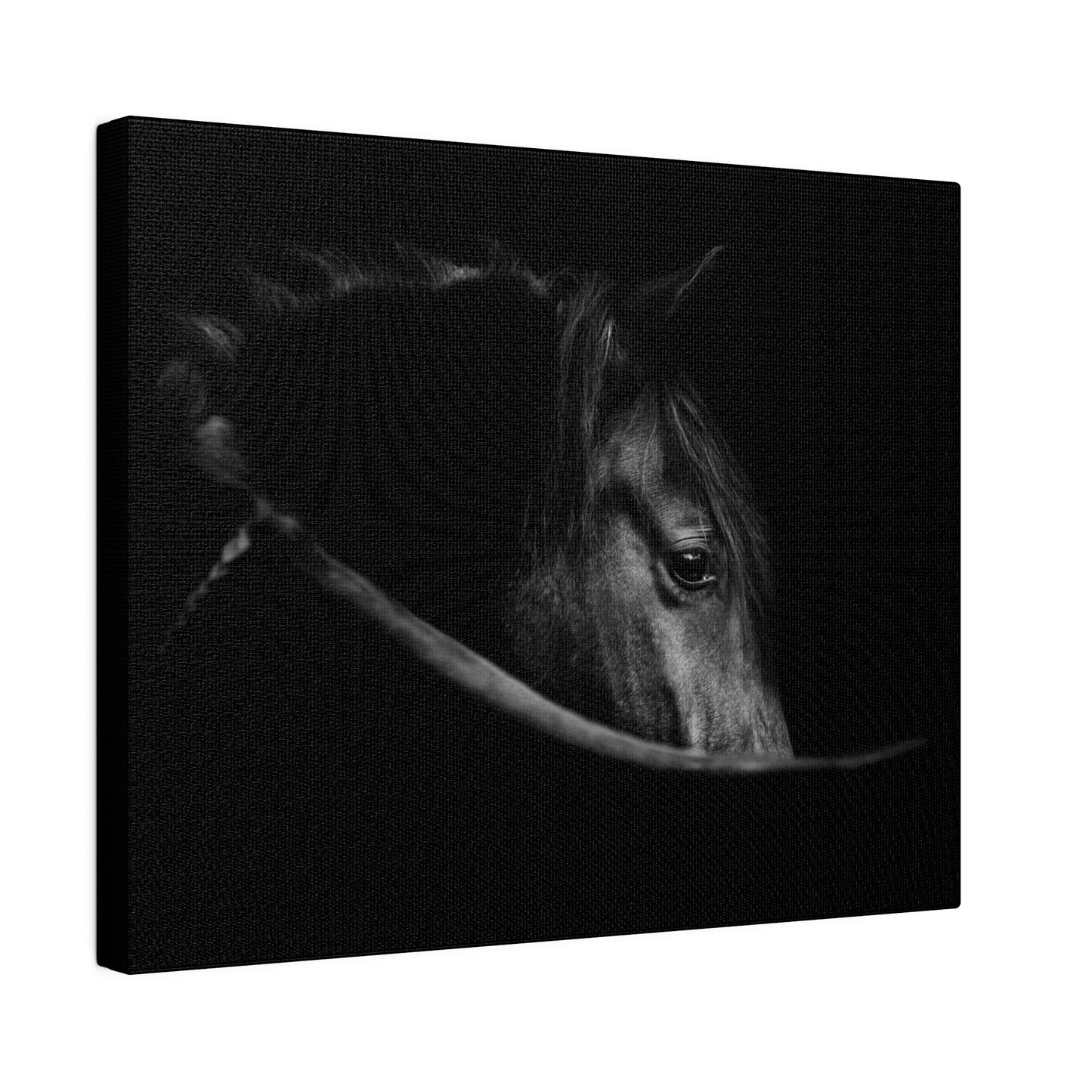 Black Beauty on Matte Canvas, Stretched, 0.75"