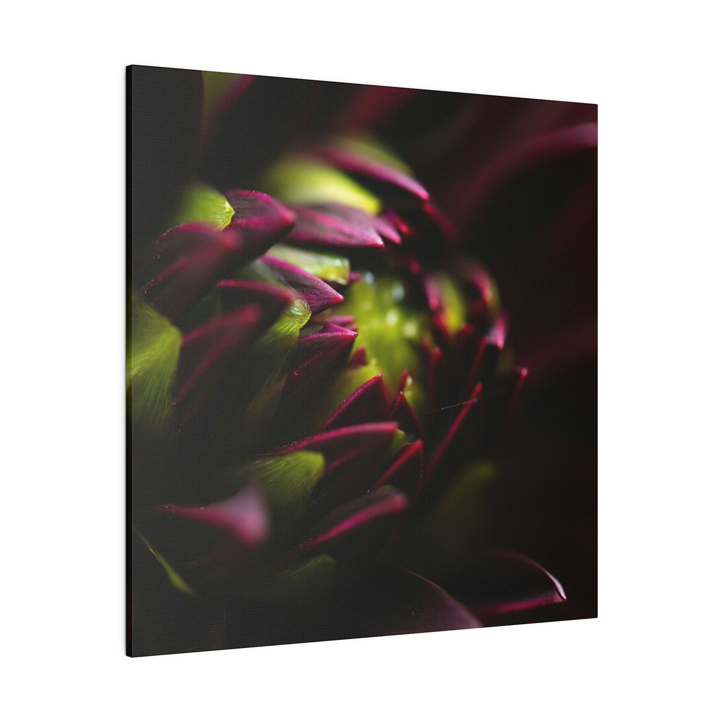 Purple Dahlia on Matte Canvas, Stretched, 0.75"