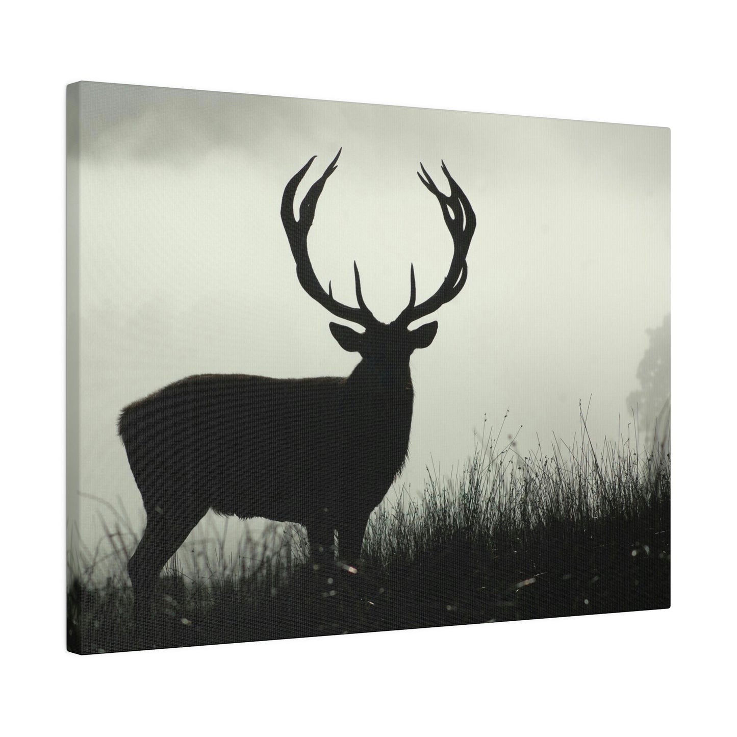 Big Buck on Matte Canvas, Stretched, 0.75"