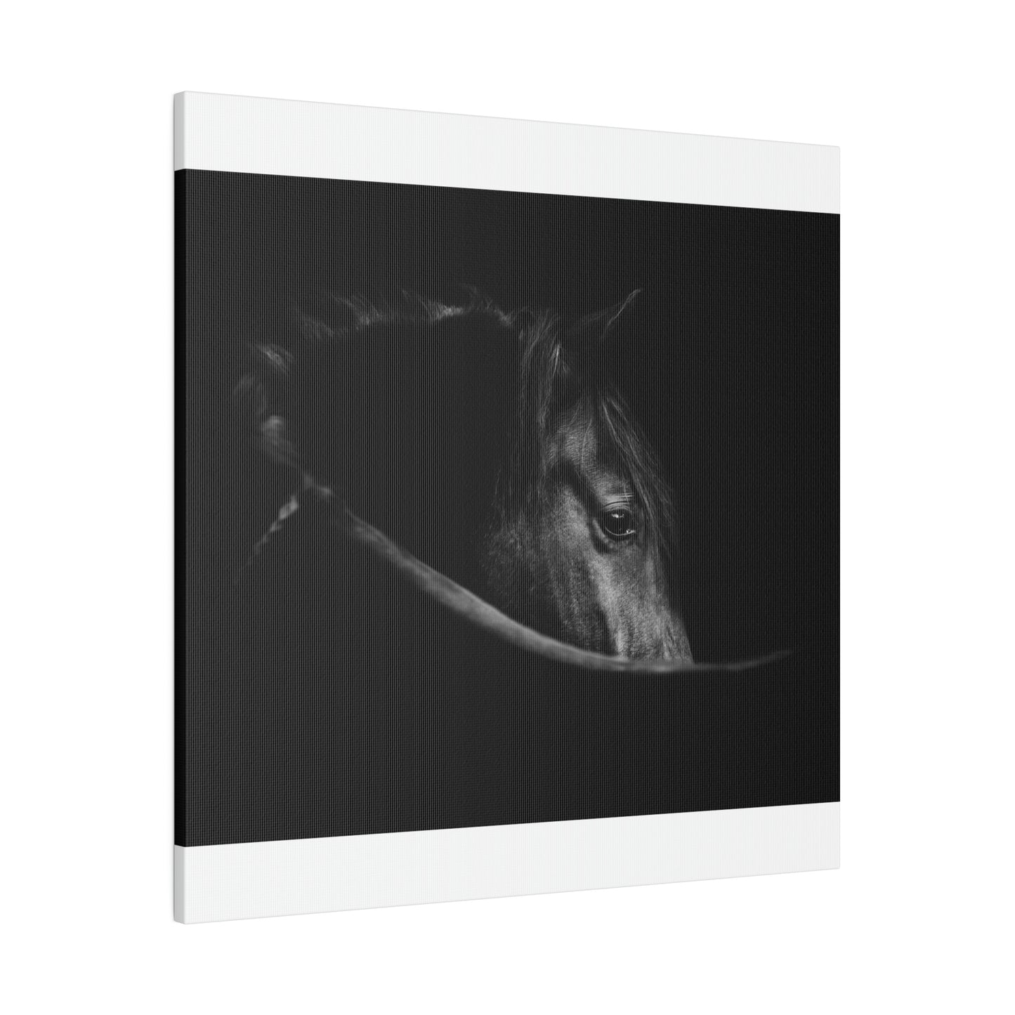 Black Beauty on Matte Canvas, Stretched, 0.75"