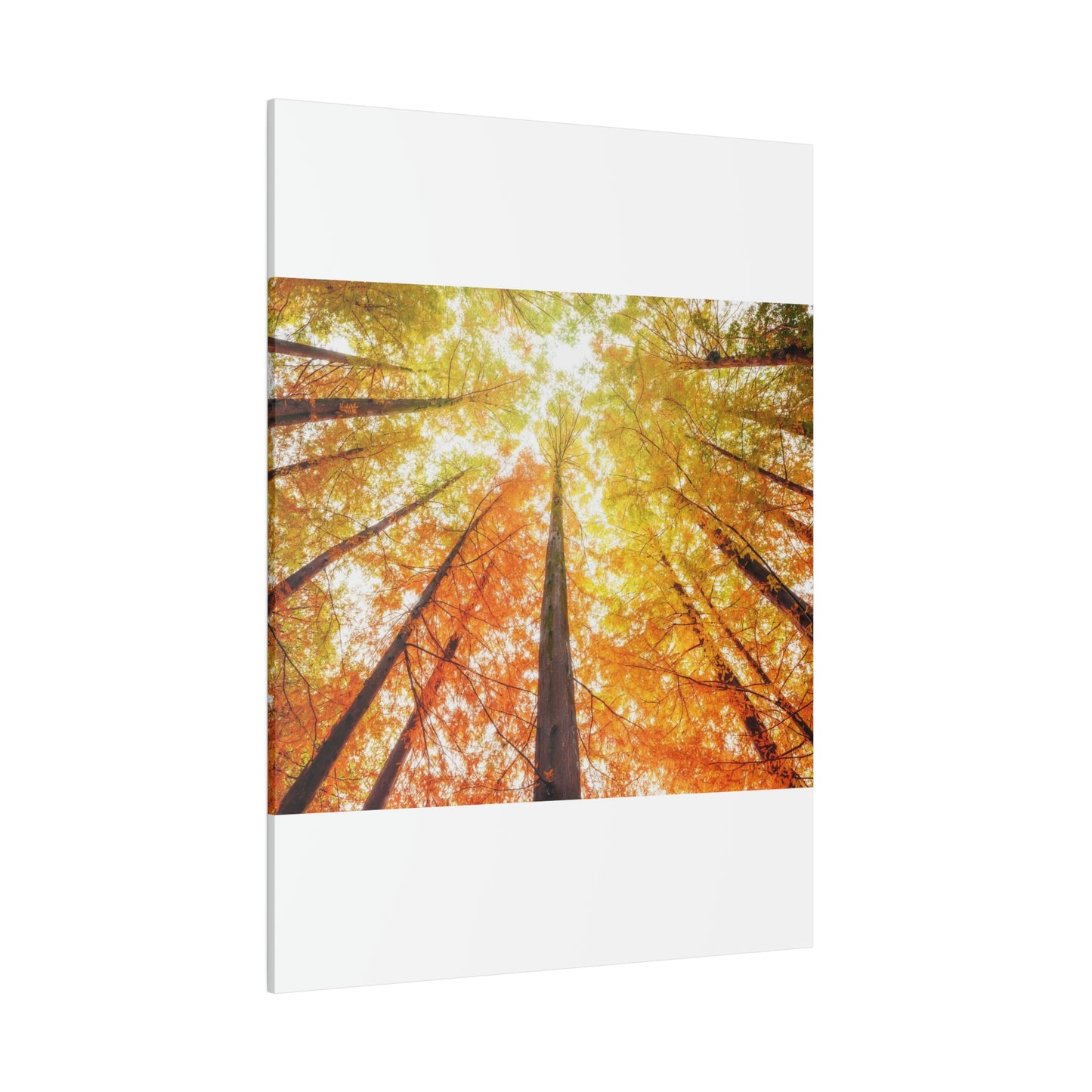 A fall Dream on Matte Canvas, Stretched, 0.75"