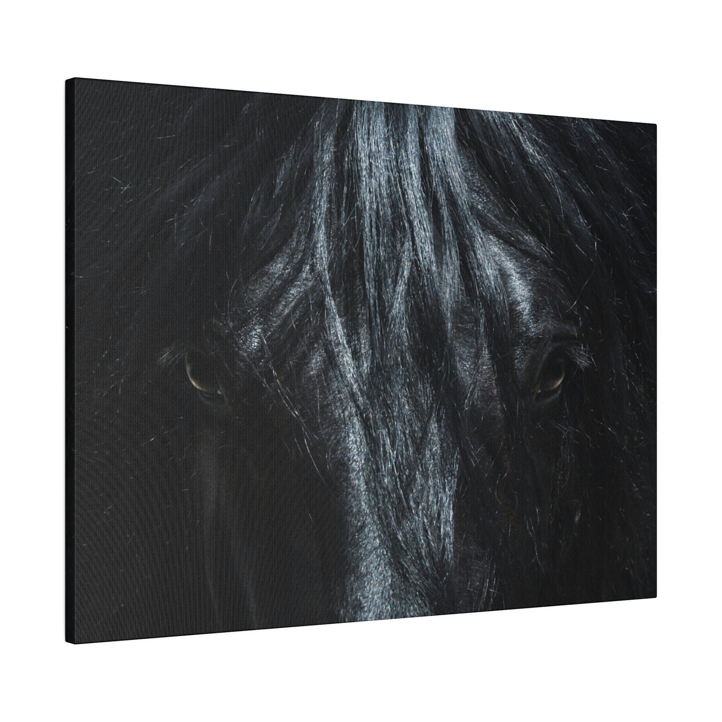 Black horse Face on Matte Canvas, Stretched, 0.75"