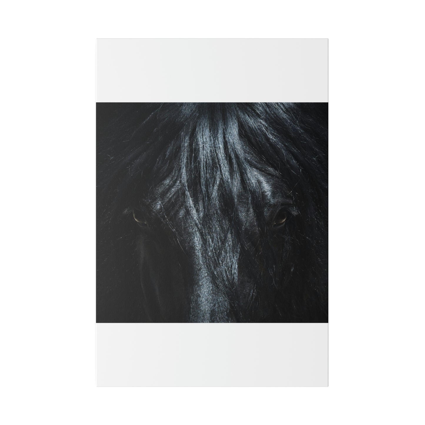 Black horse Face on Matte Canvas, Stretched, 0.75"