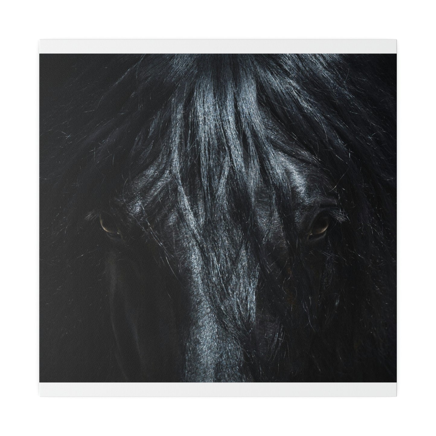 Black horse Face on Matte Canvas, Stretched, 0.75"