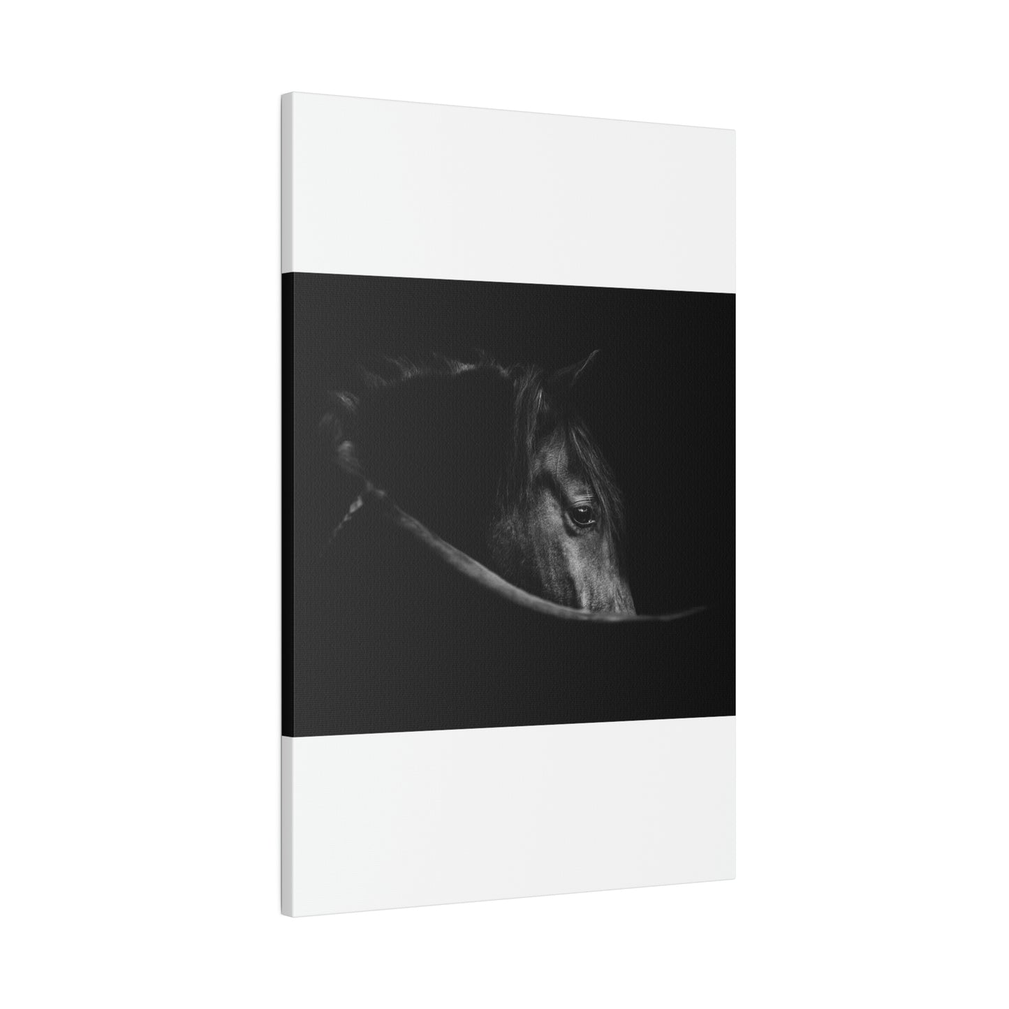 Black Beauty on Matte Canvas, Stretched, 0.75"